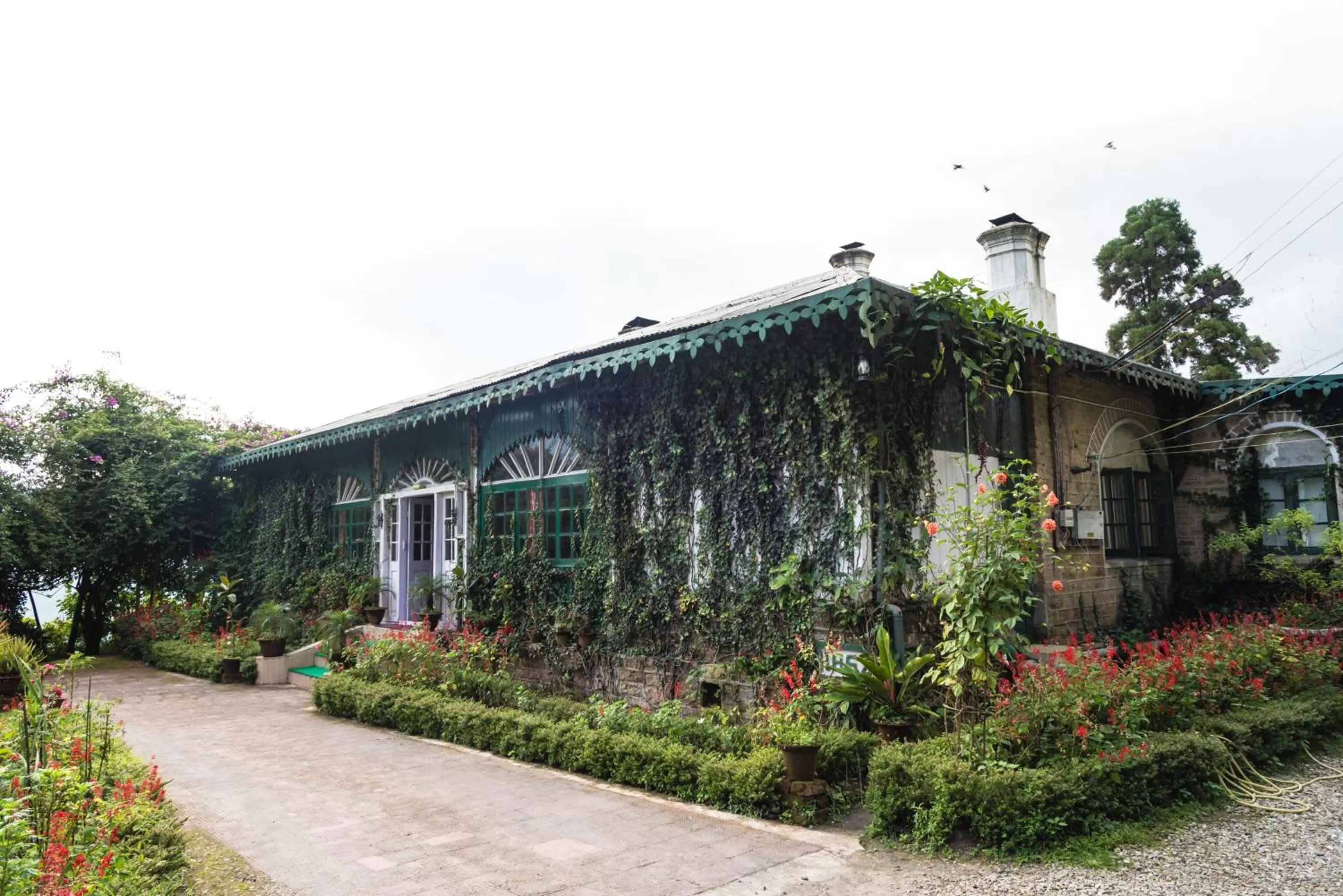 Property Building in Singtom Tea Resort