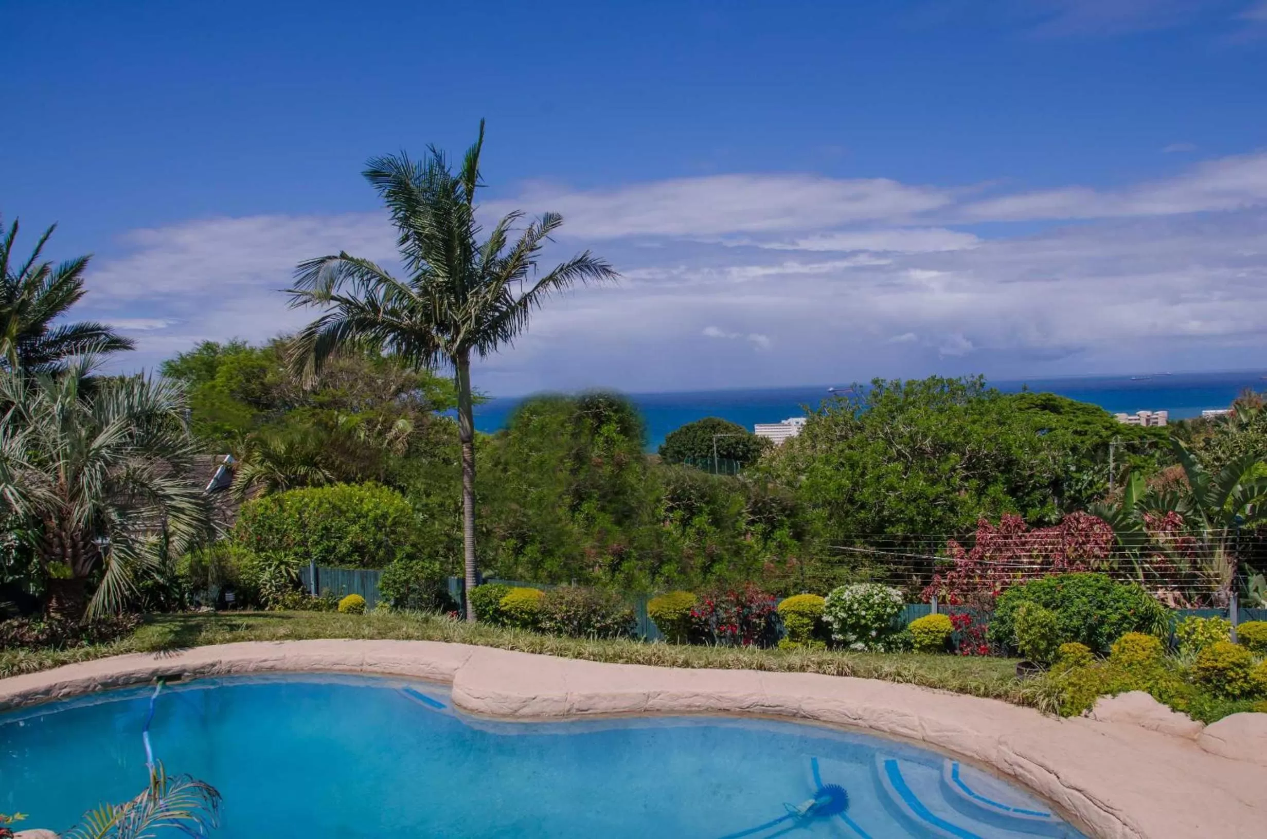 Swimming pool in Addis Bed and Breakfast
