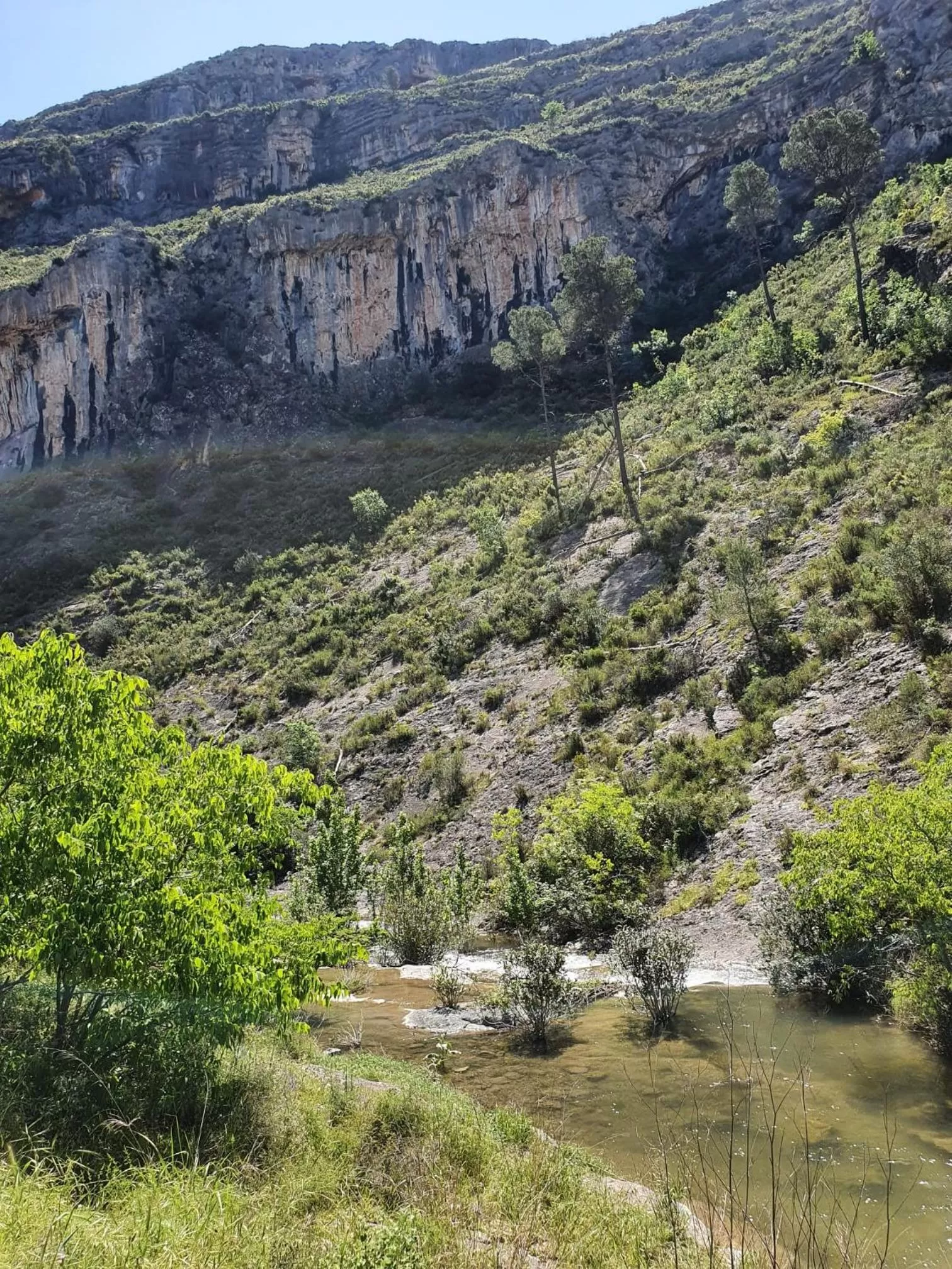 Natural landscape in Finca La Higuera - Boutique B&B