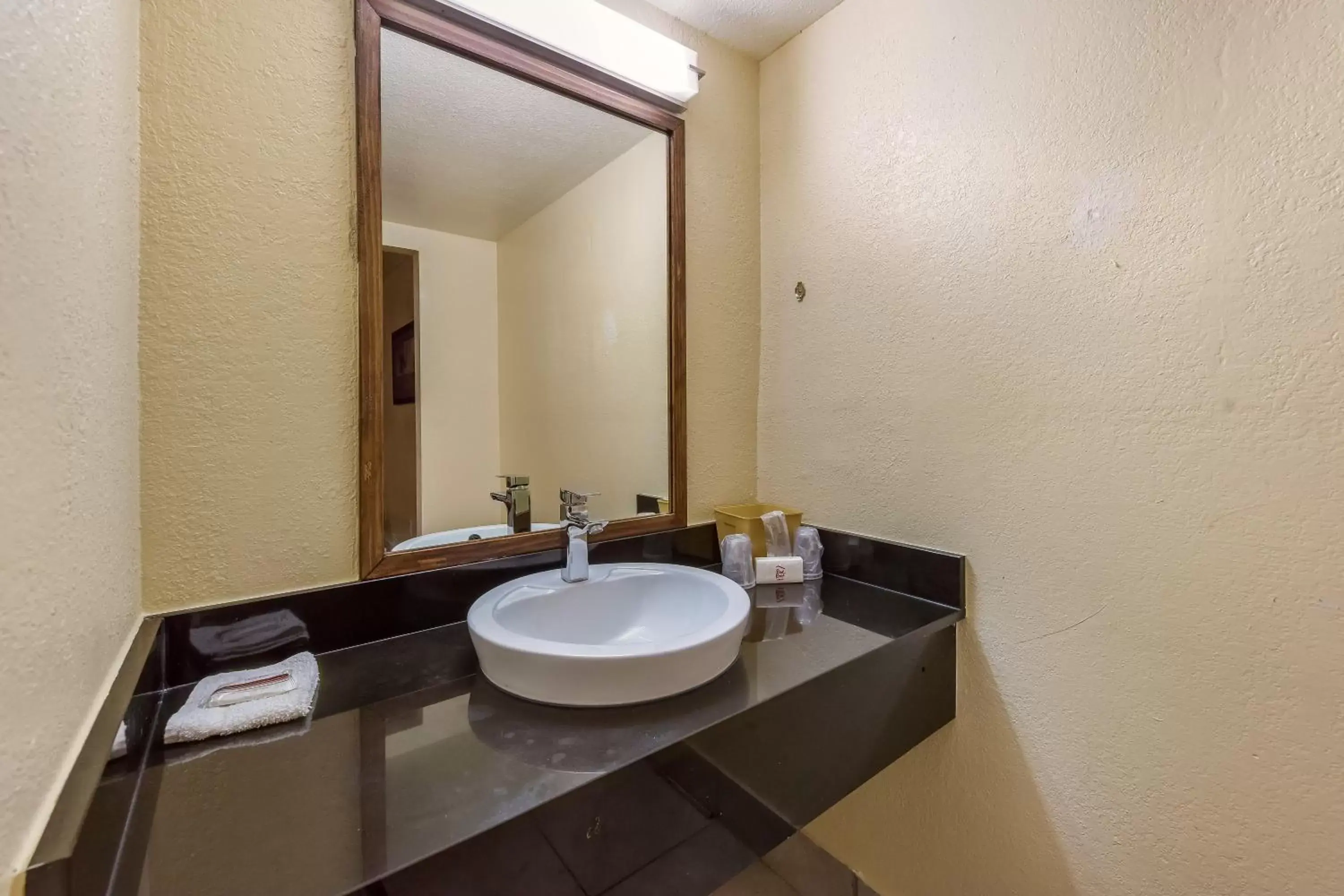 Bathroom in Red Roof Inn Plano