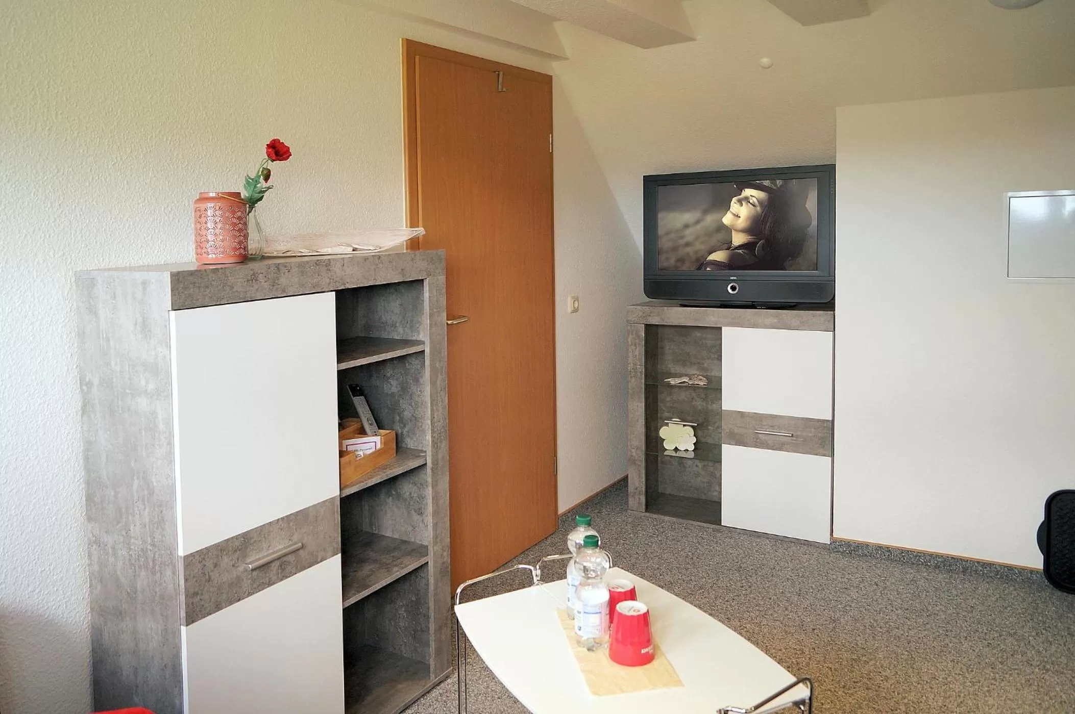 TV and multimedia in Erzgebirgshotel Misnia Bärenfels