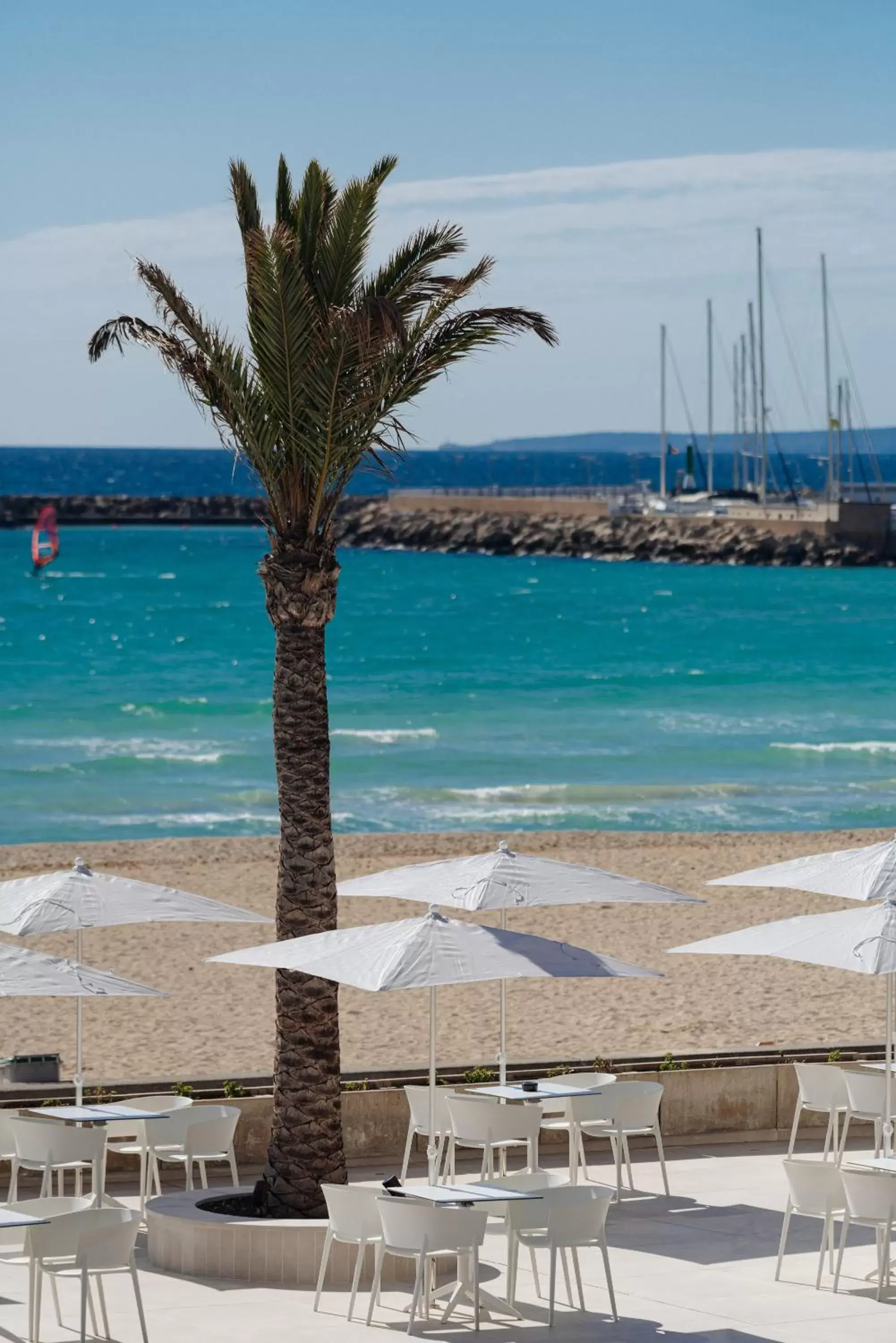 Pool view, Beach in THB El Cid - Adults Only