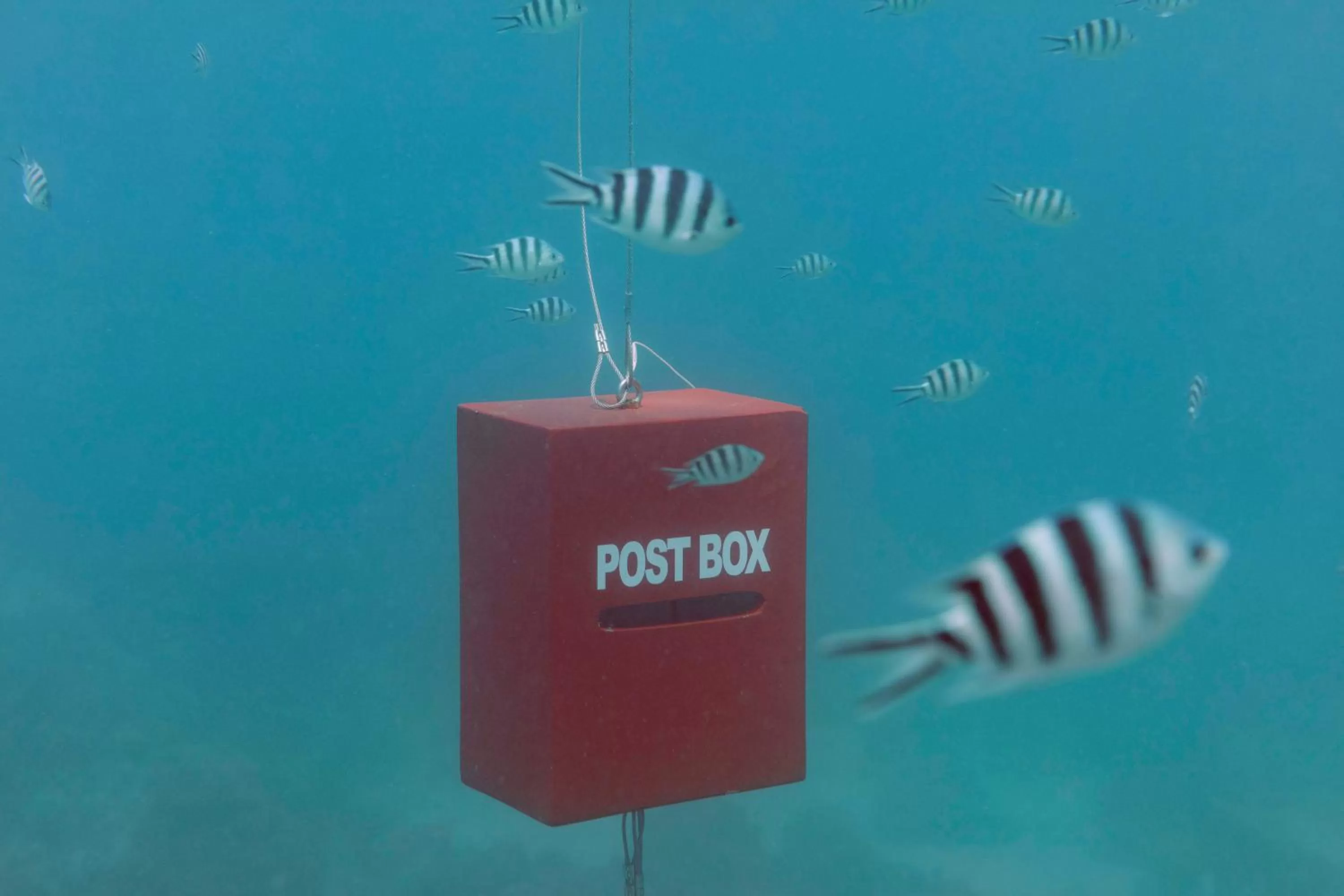 Activities in Fisherman's Cove Resort - closed for complete renovation - Visit our sister property STORY Seychelles for your stay