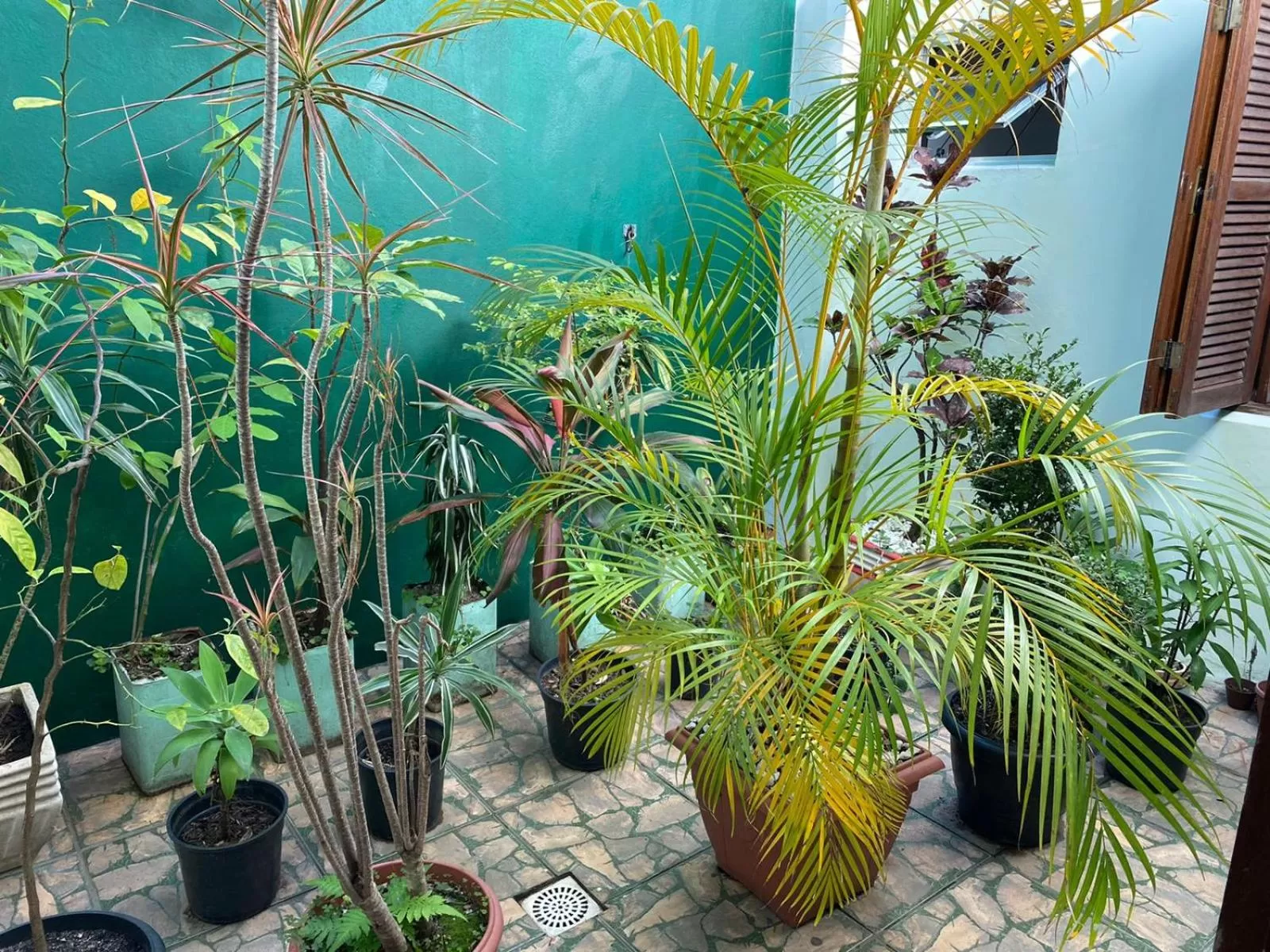 Garden in Hotel Westphal