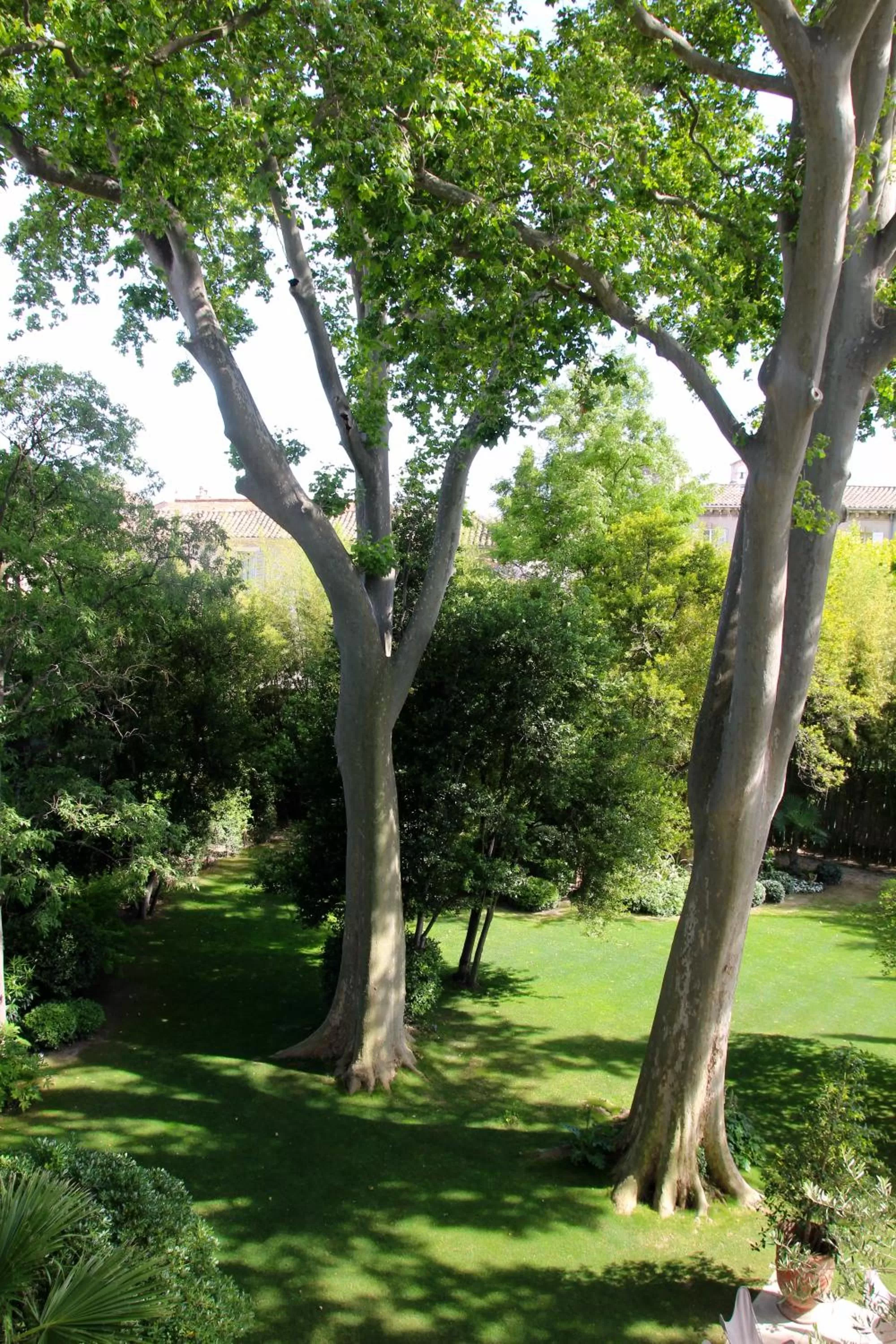 Garden view in La Divine Comédie-Suites Deluxe