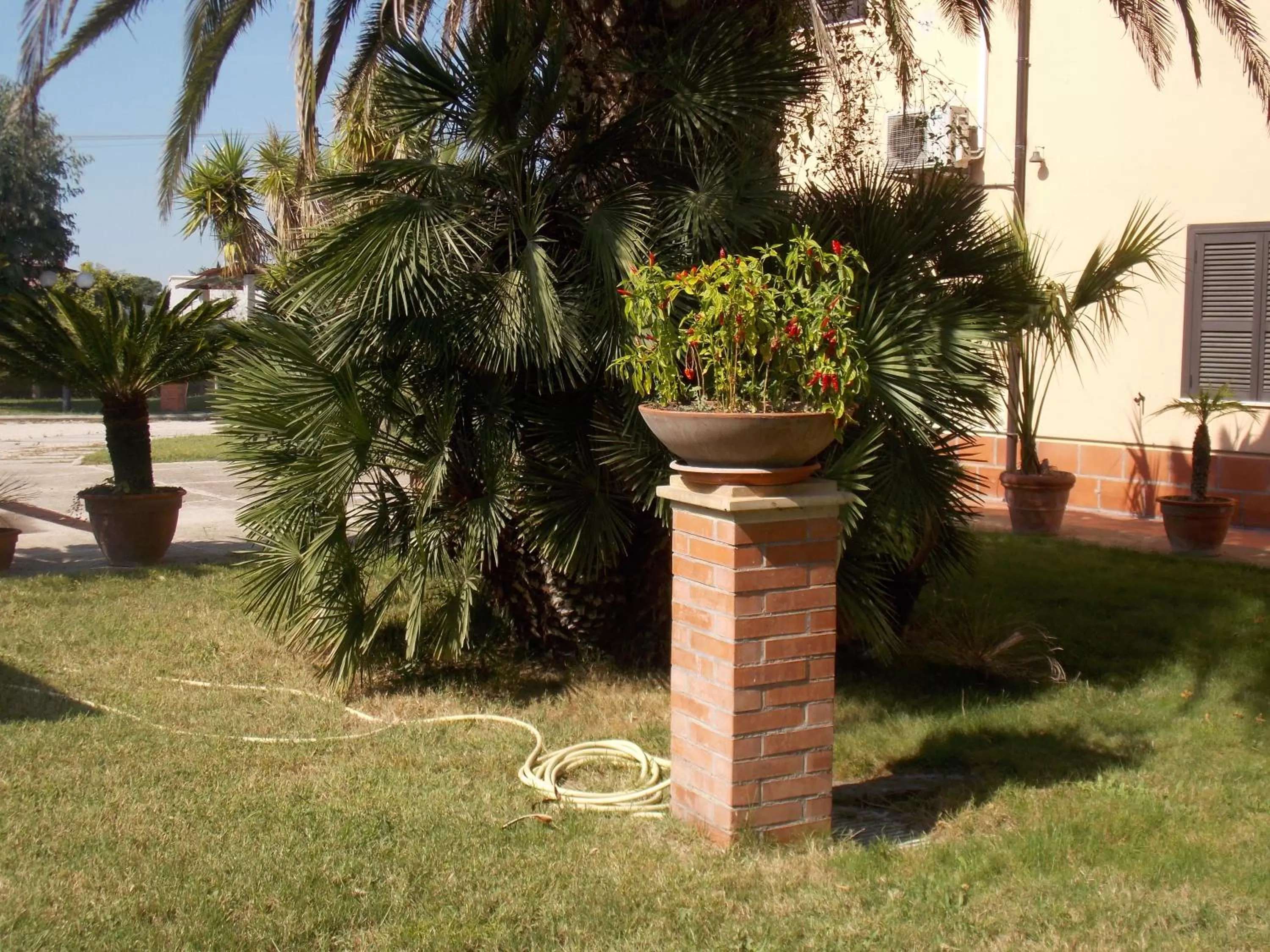 Garden in Hotel Villa dei Butteri - Aprilia
