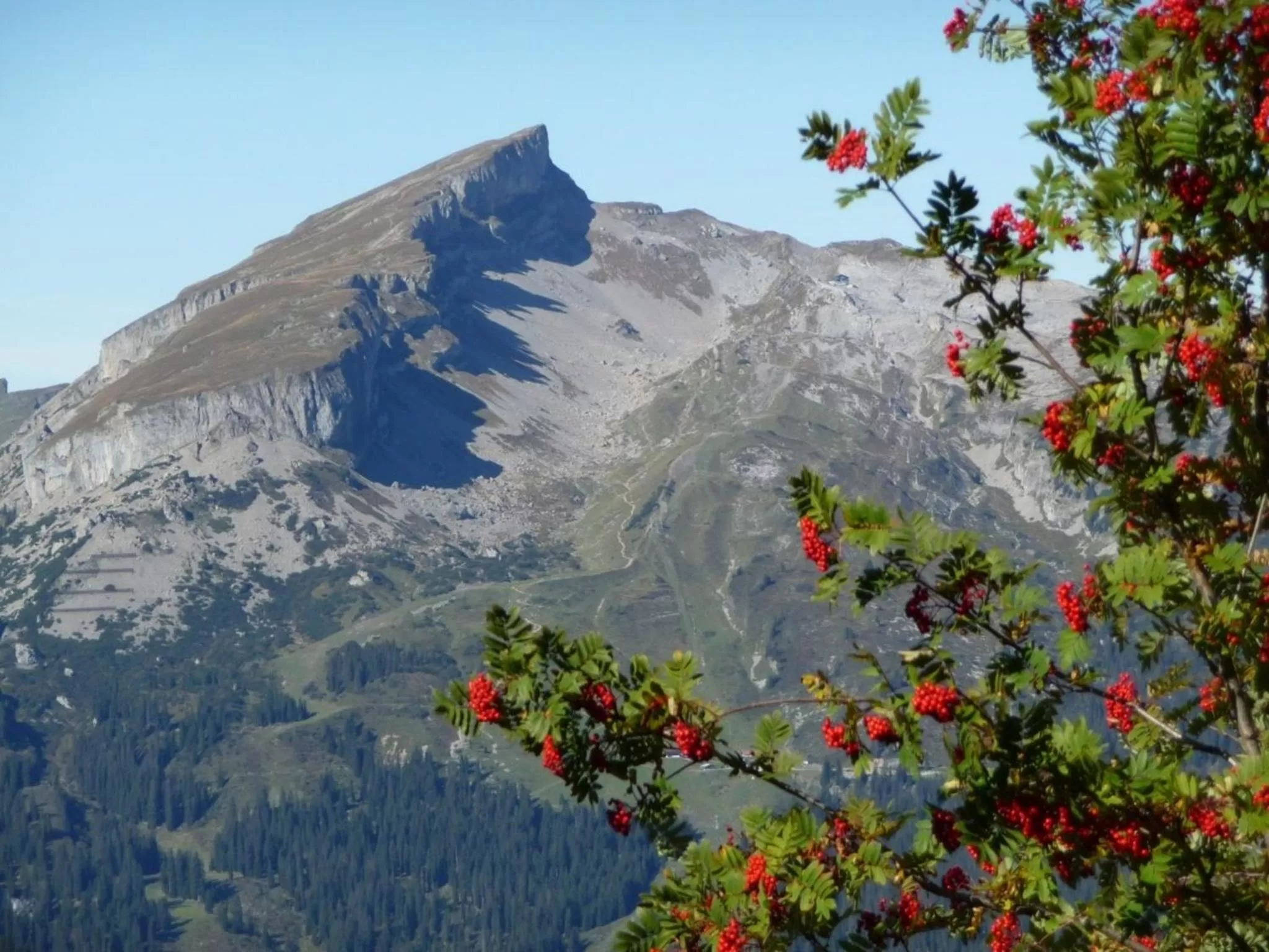 Natural landscape in Hotel Riezler Hof