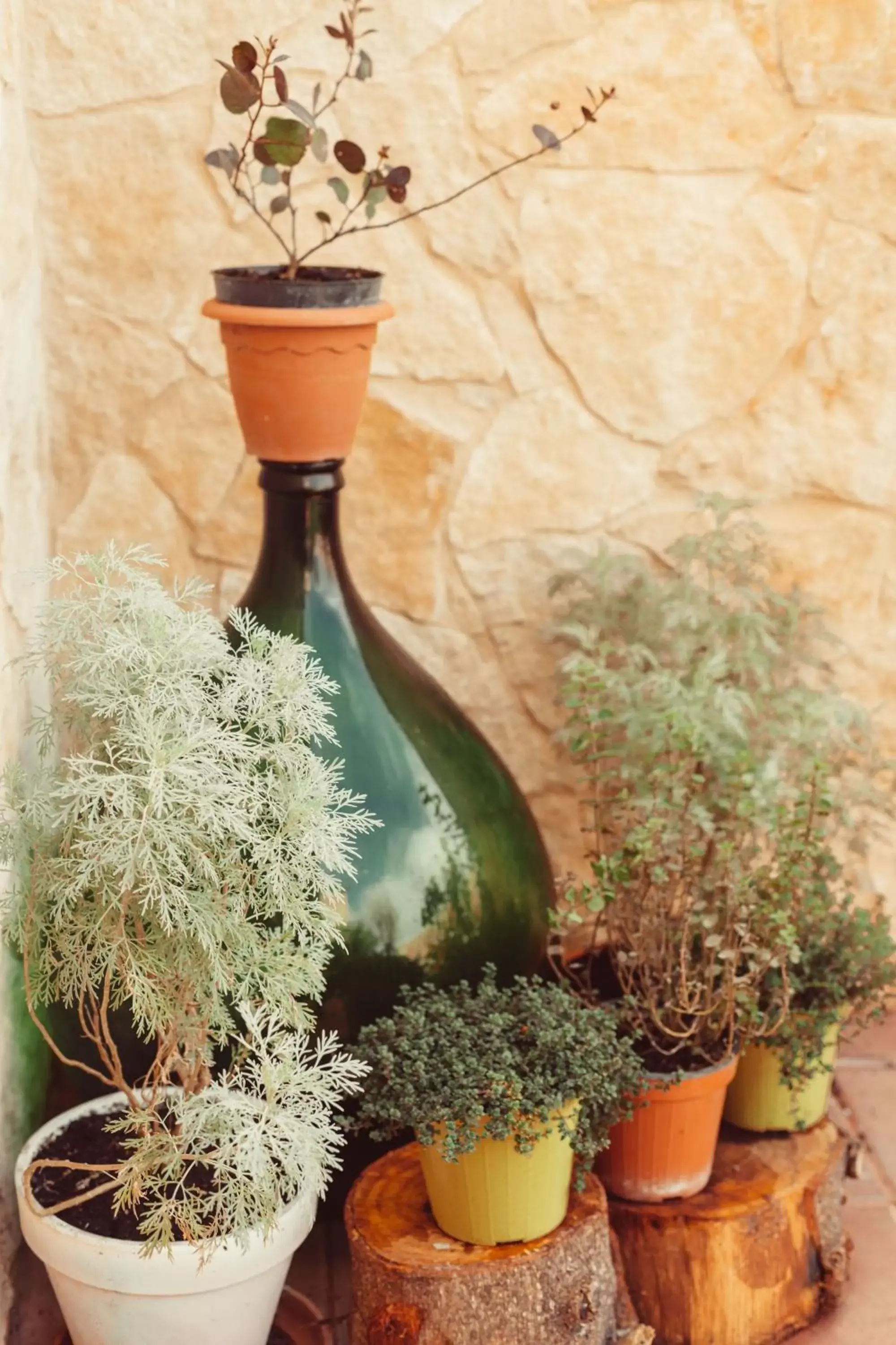 Garden view in b&b Artemisia