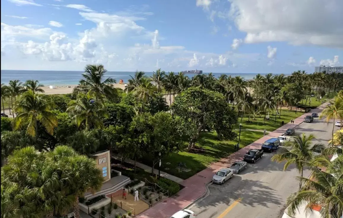 View (from property/room), Bird's-eye View in Hotel Breakwater South Beach