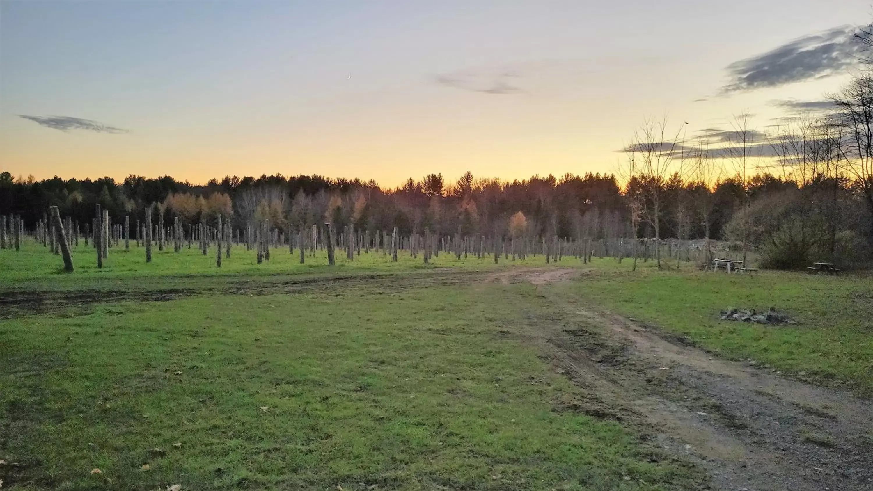 Natural landscape in Auberge du Vignoble Bromont