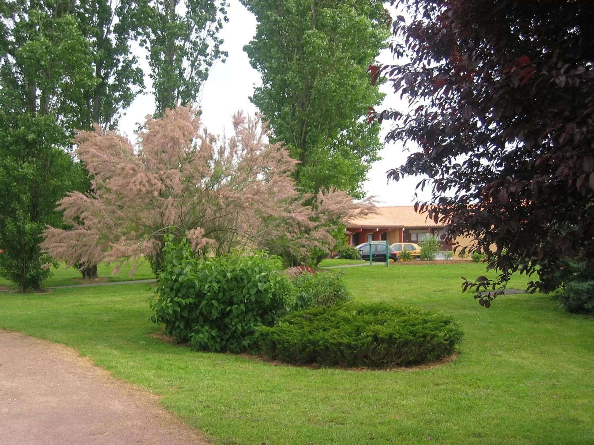 Garden in Kyriad Niort - La Crèche