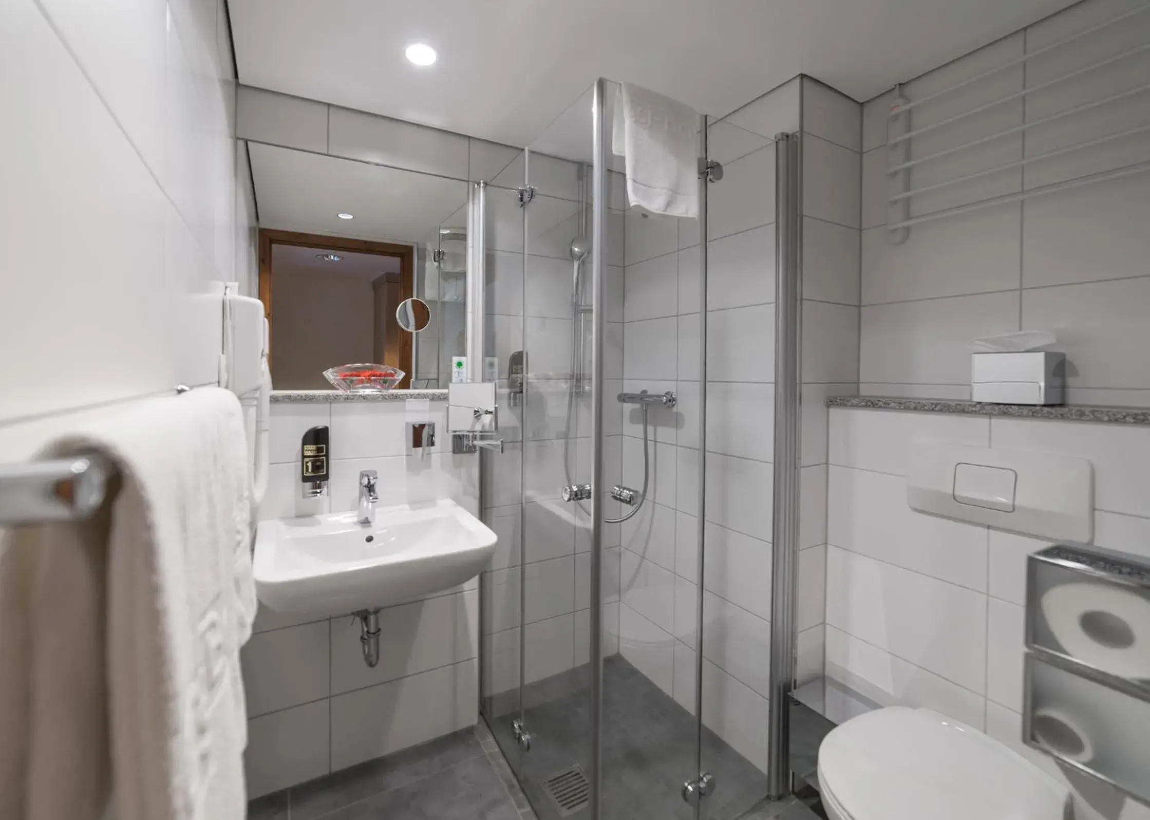 Toilet, Bathroom in Hotel Gustav-Stresemann-Institut
