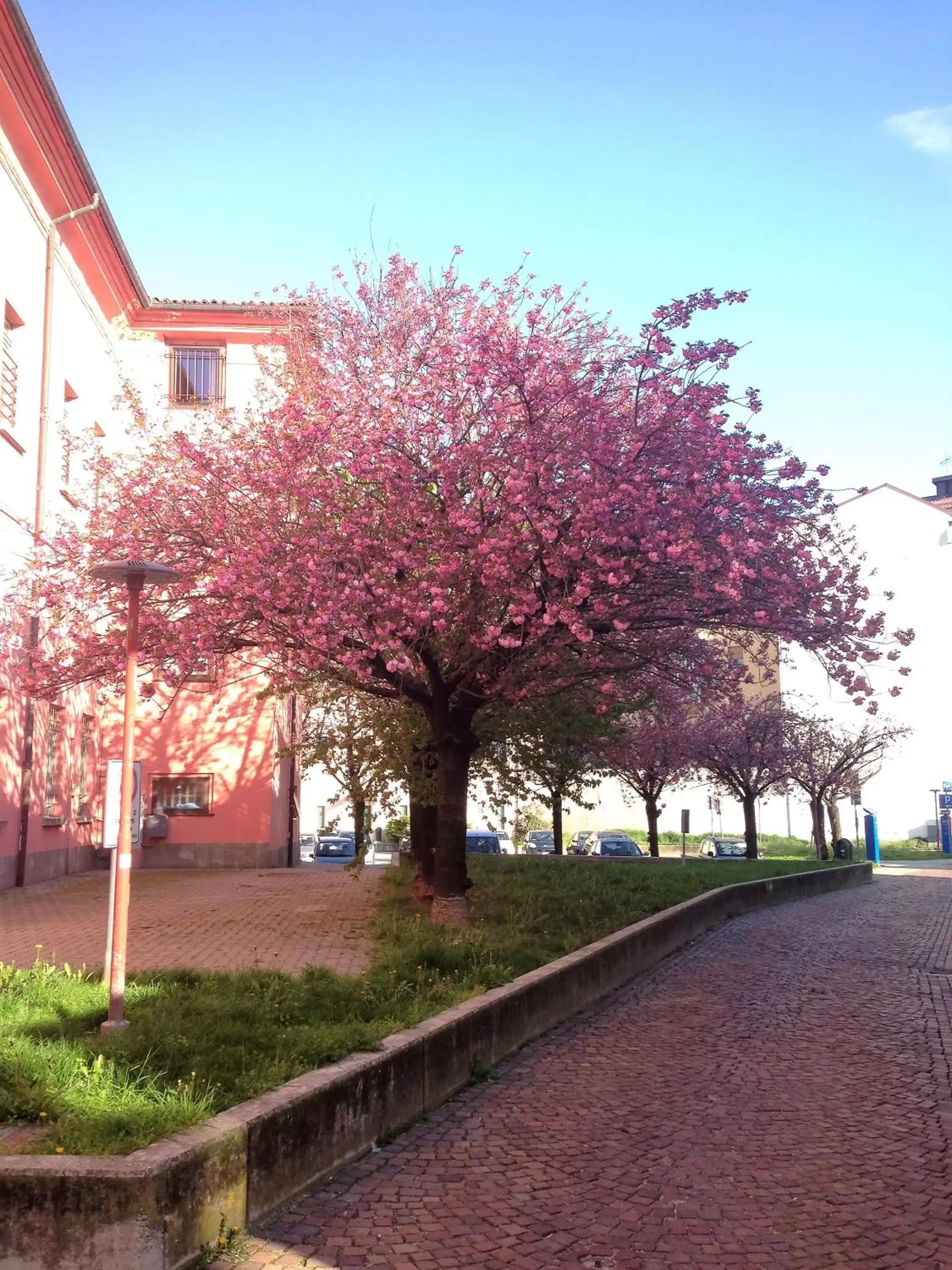 Neighbourhood, Garden in Casa Agnese