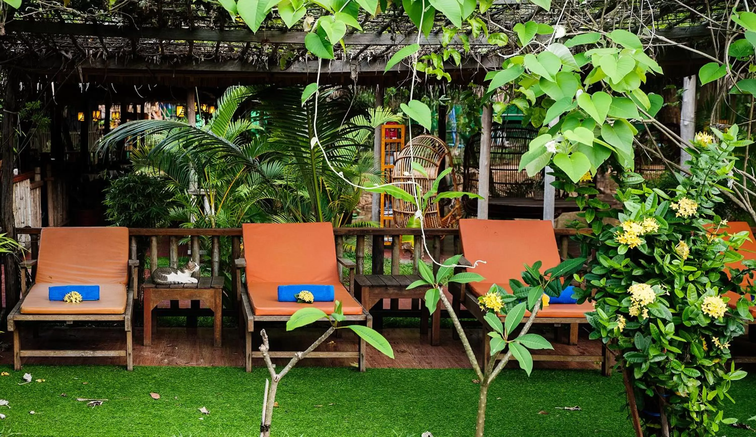 Swimming pool, Garden in Sok Sabay Resort