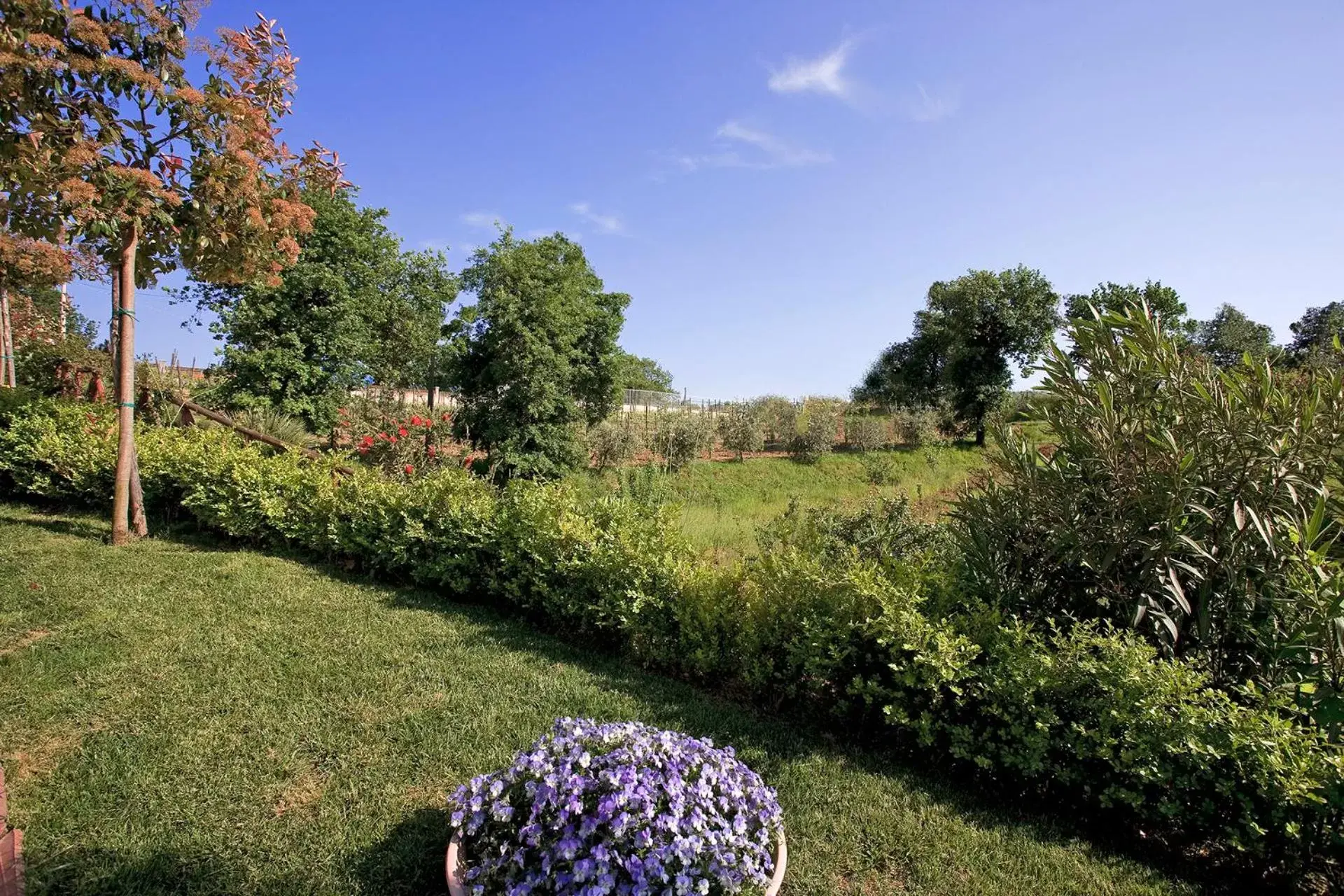 Garden in Tenuta D'Amore