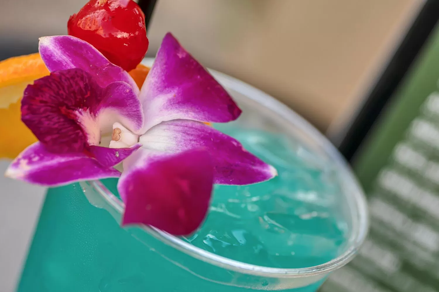 Food and drinks in Bayfront Inn 5th Avenue