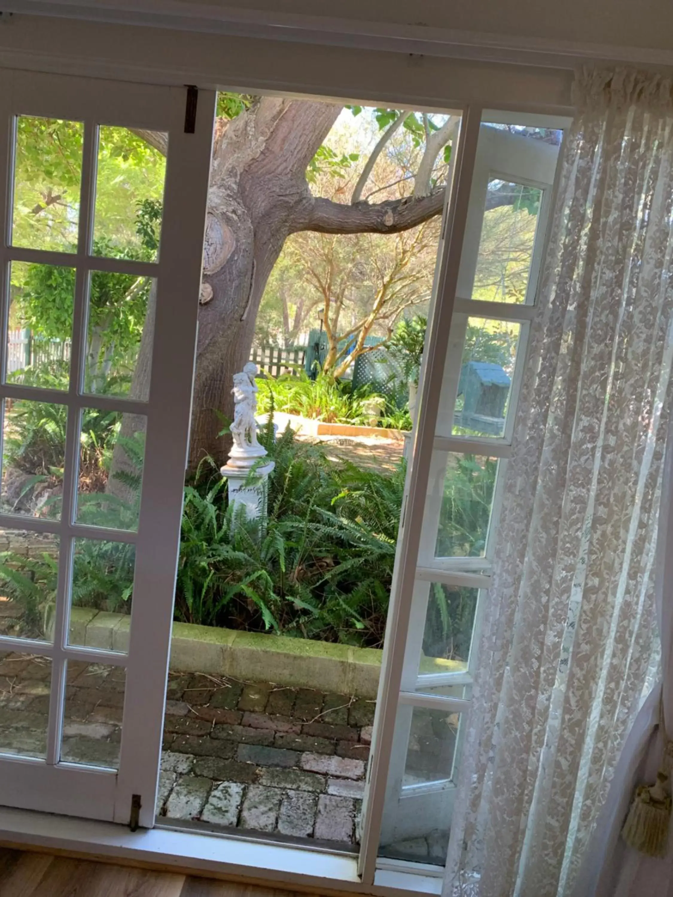 Garden view in Rosebridge House Bed & Breakfast Adult Retreat Garden view in Rosebridge House Bed & Breakfast Adult Retreat