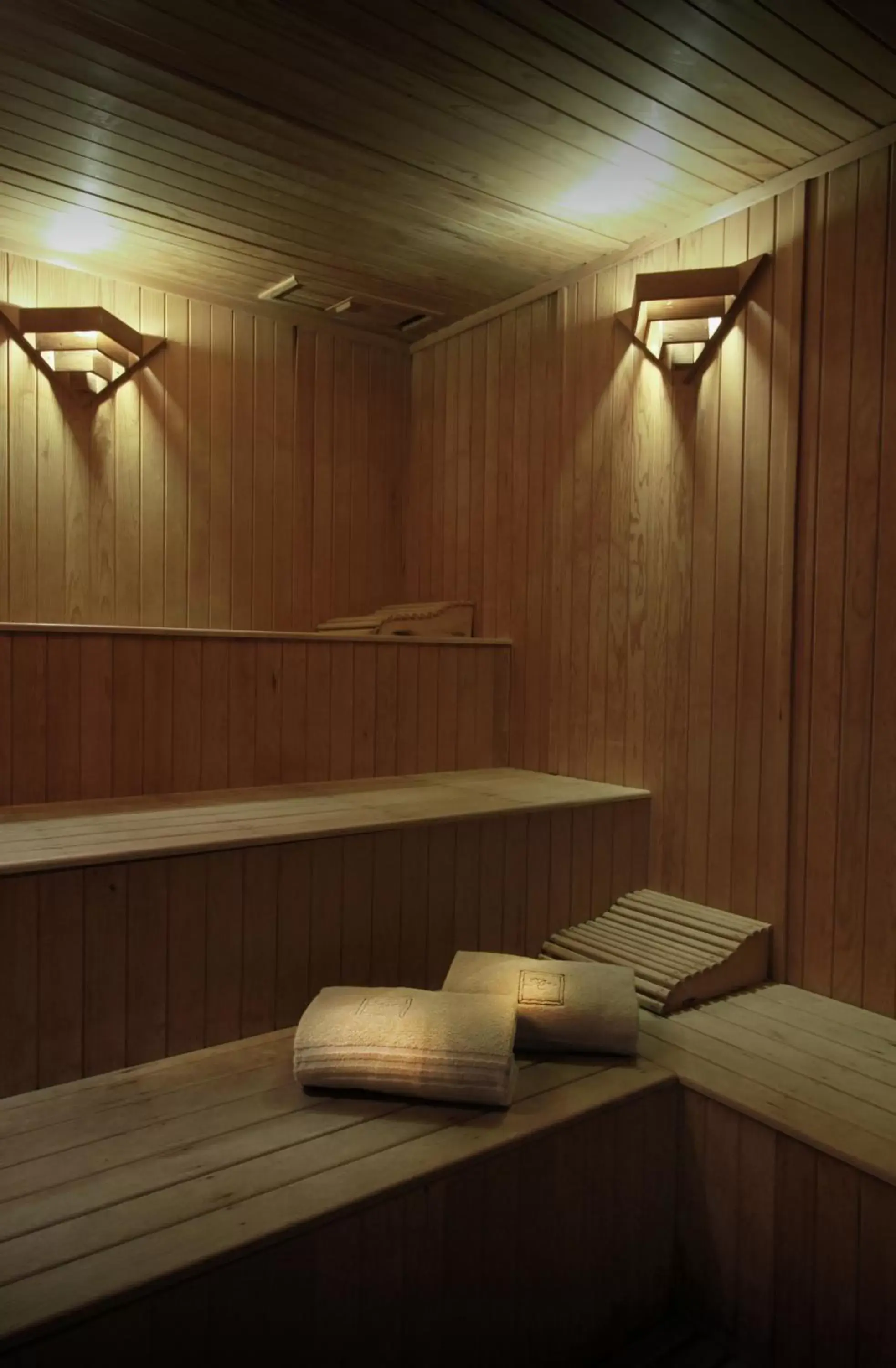 Sauna in Melia Recoleta Plaza Hotel