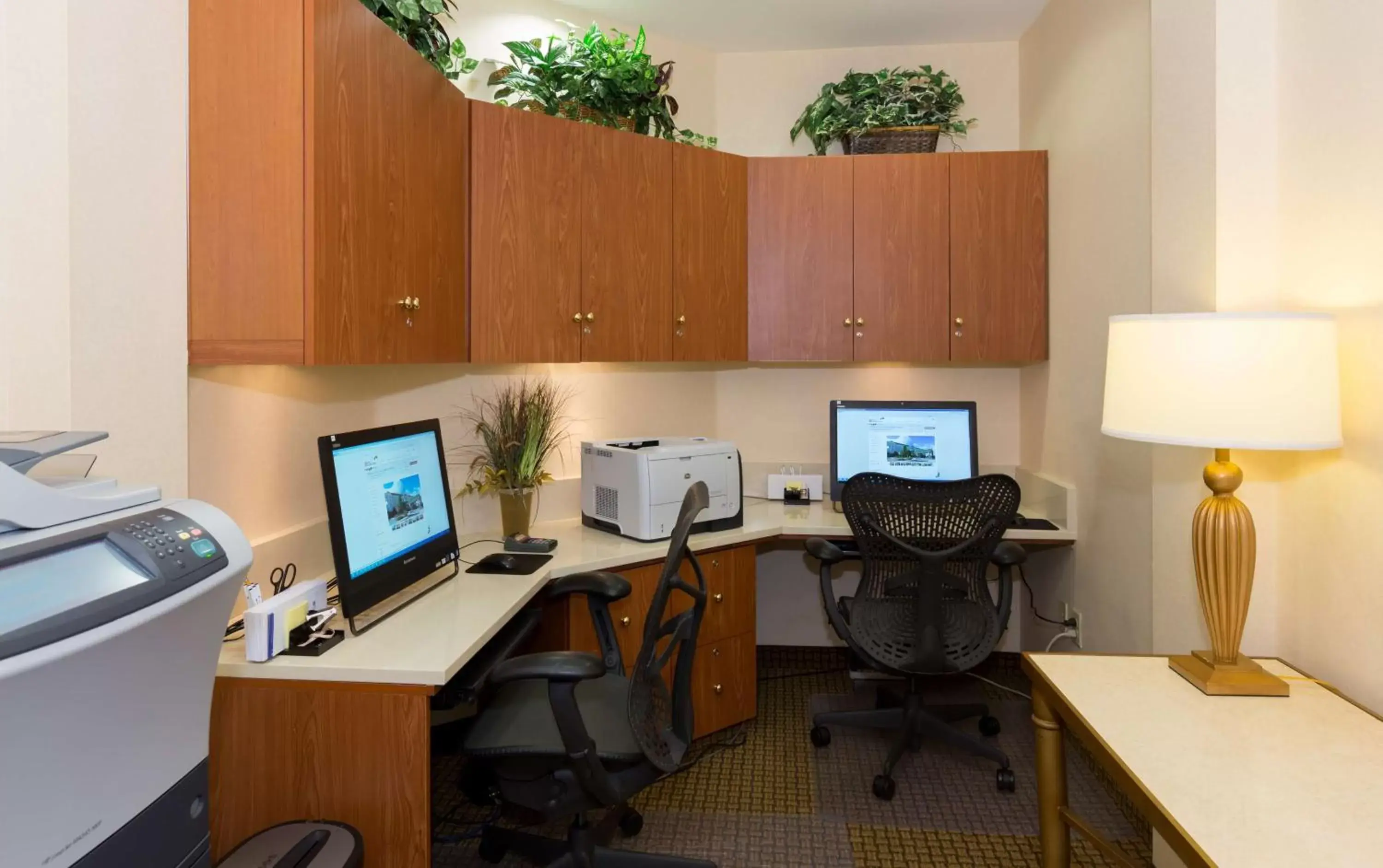 Business facilities, Business Area/Conference Room in Hilton Garden Inn Buffalo Airport