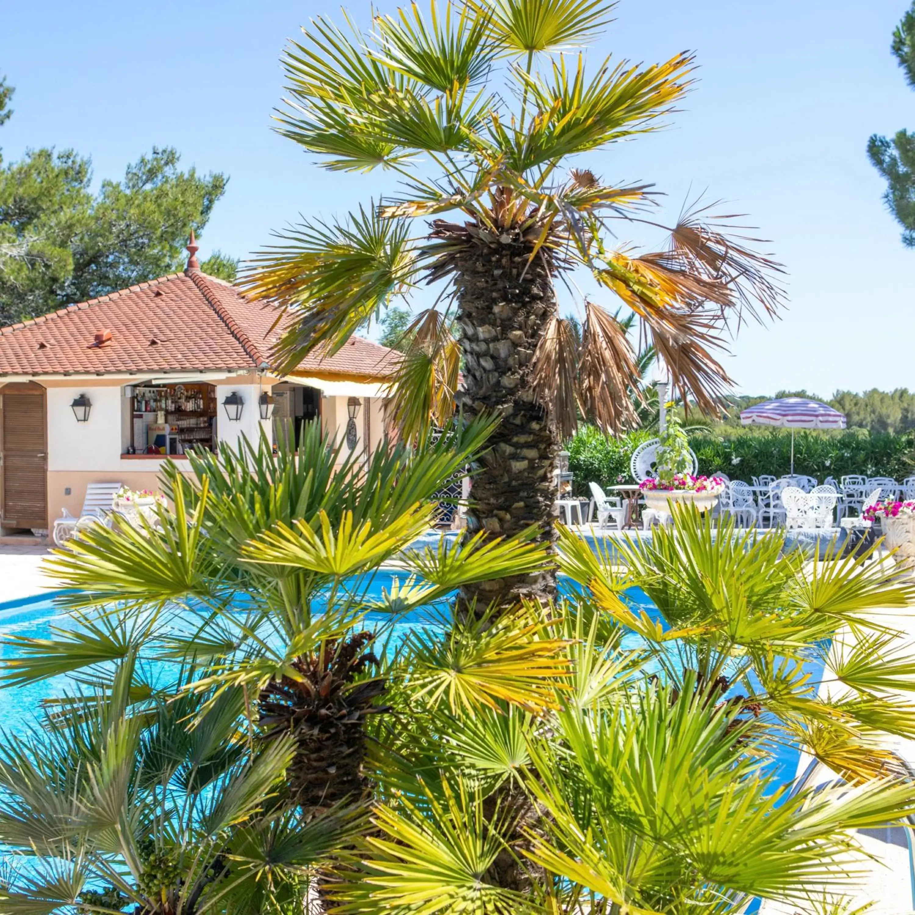 Swimming pool, Property Building in Le Château de Mei Lese