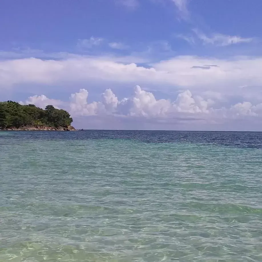 Natural Landscape in Port Antonio Brian's Beach House