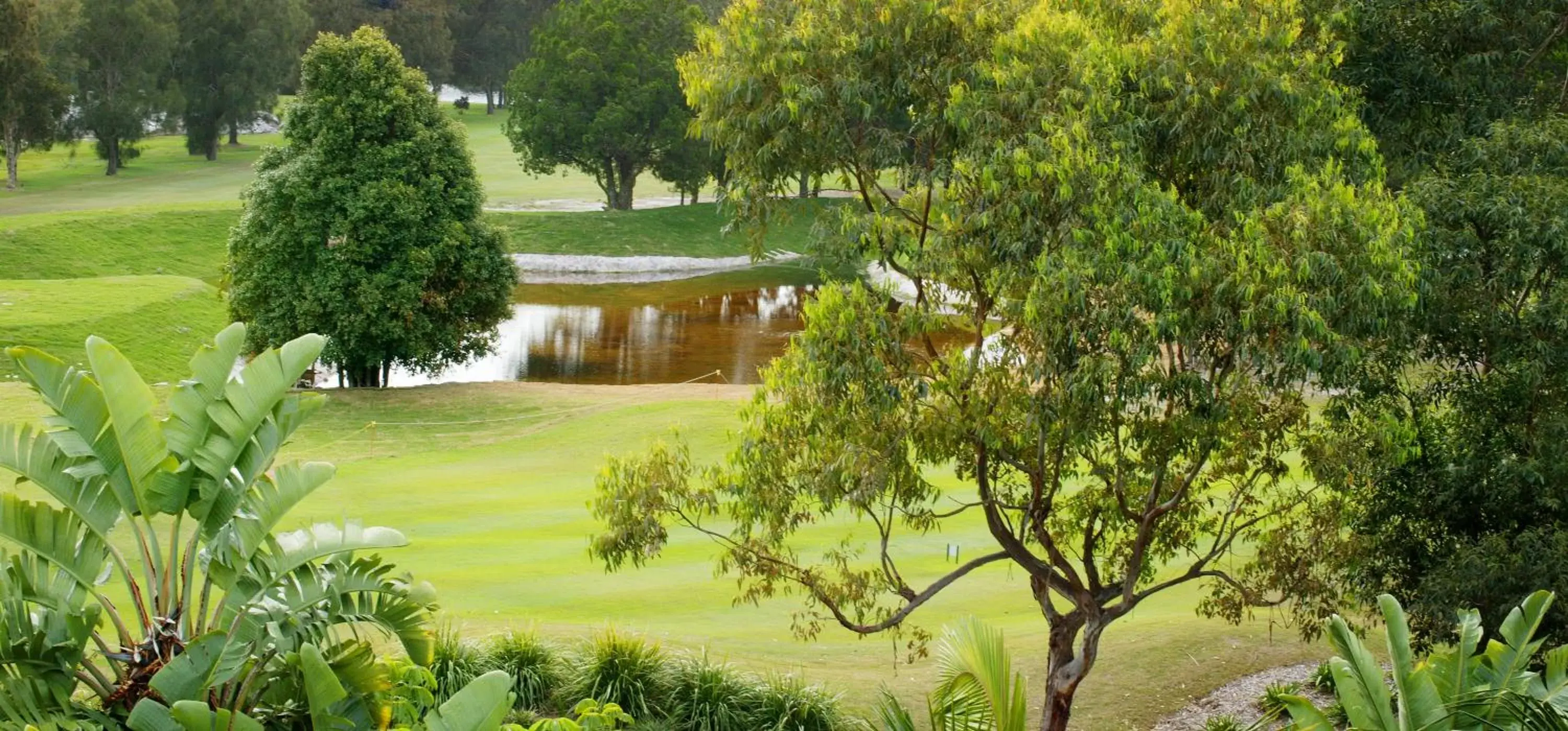 Golfcourse, Garden in Byron Links Apartments