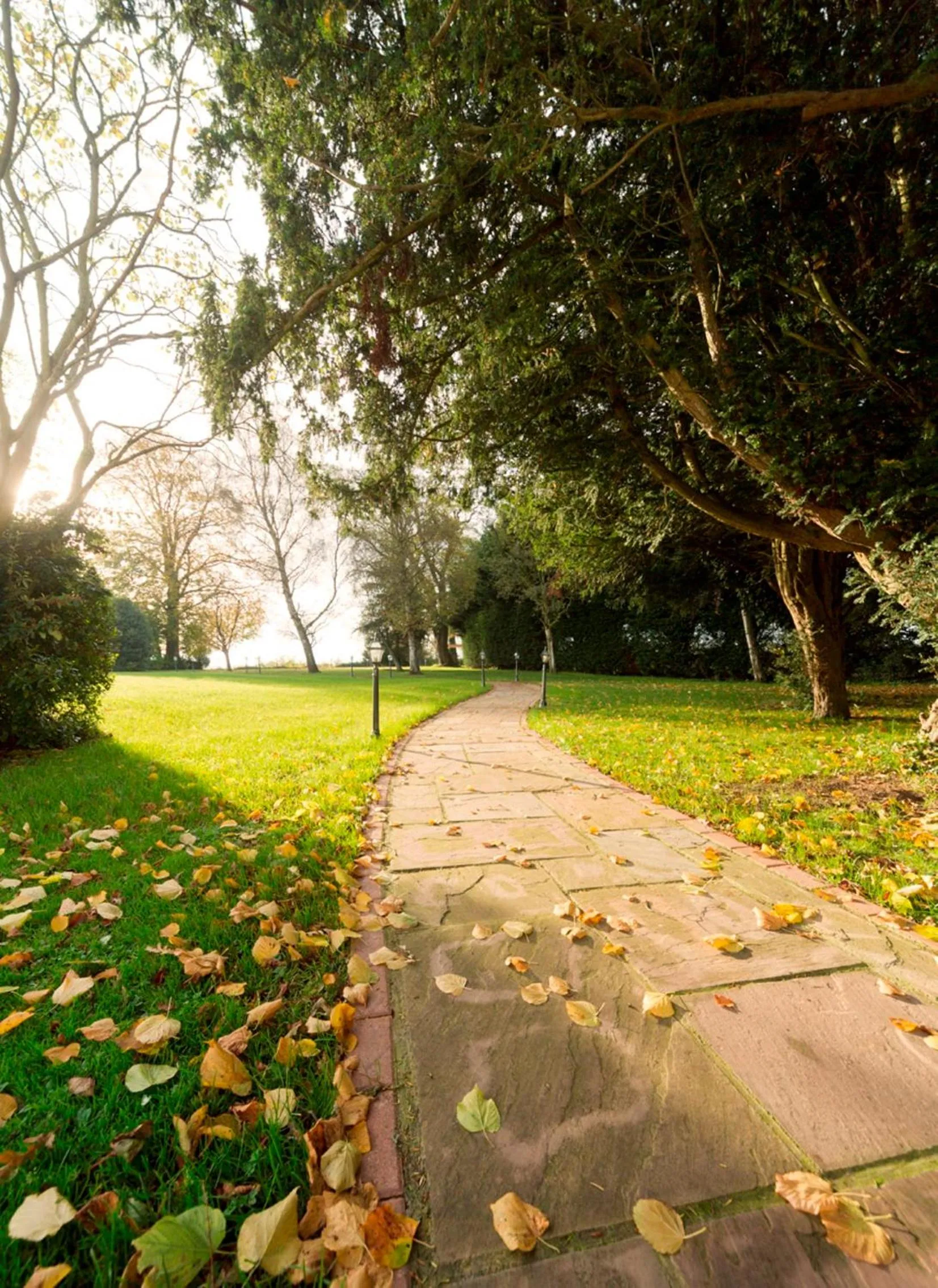 Area and facilities in Leigh Park Country House Hotel & Vineyard, BW Signature Collection