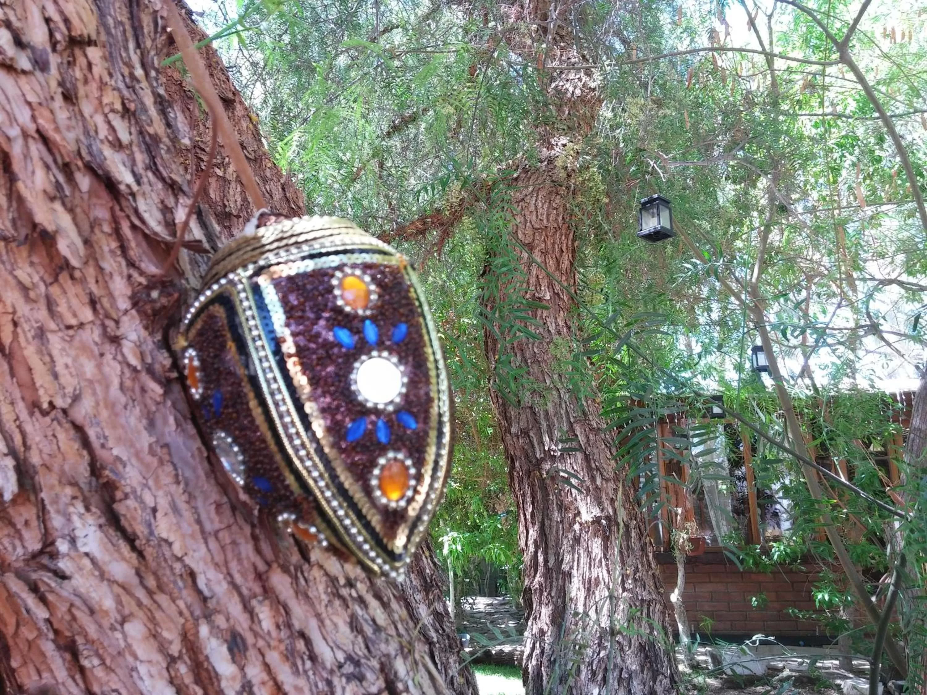 Garden in Atankalama