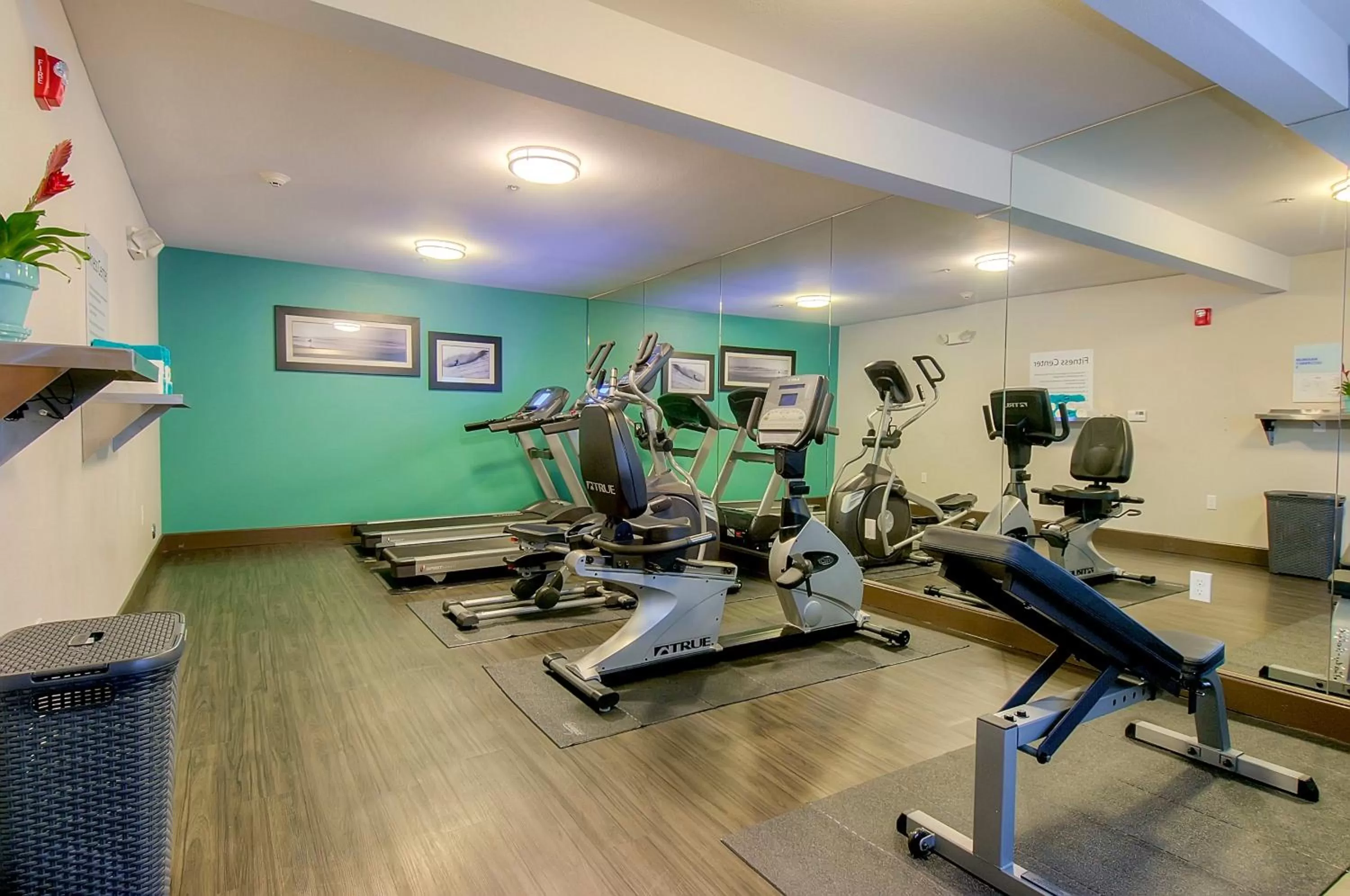 Fitness centre/facilities in Holiday Inn Express Hotel & Suites Carlsbad Beach by IHG