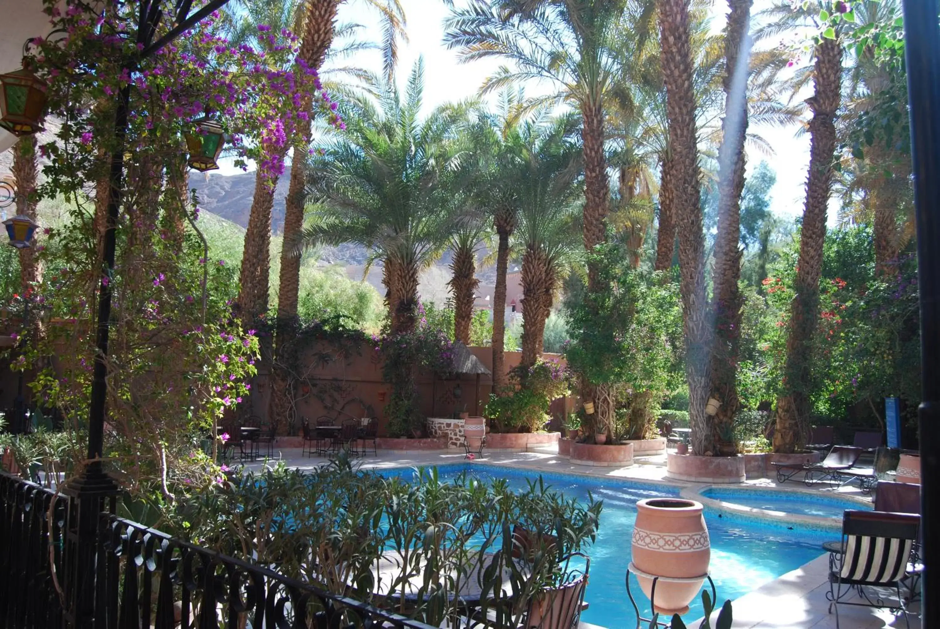 Garden, Swimming Pool in Kasbah Sirocco