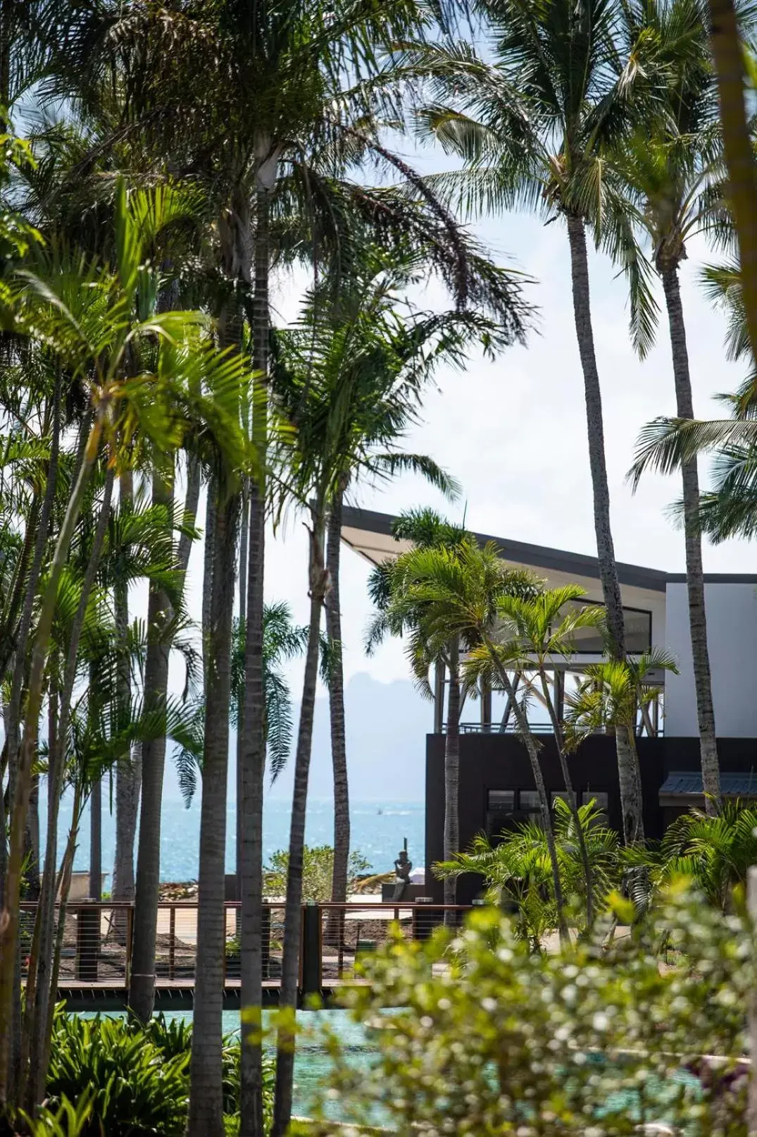 Garden in Daydream Island Resort