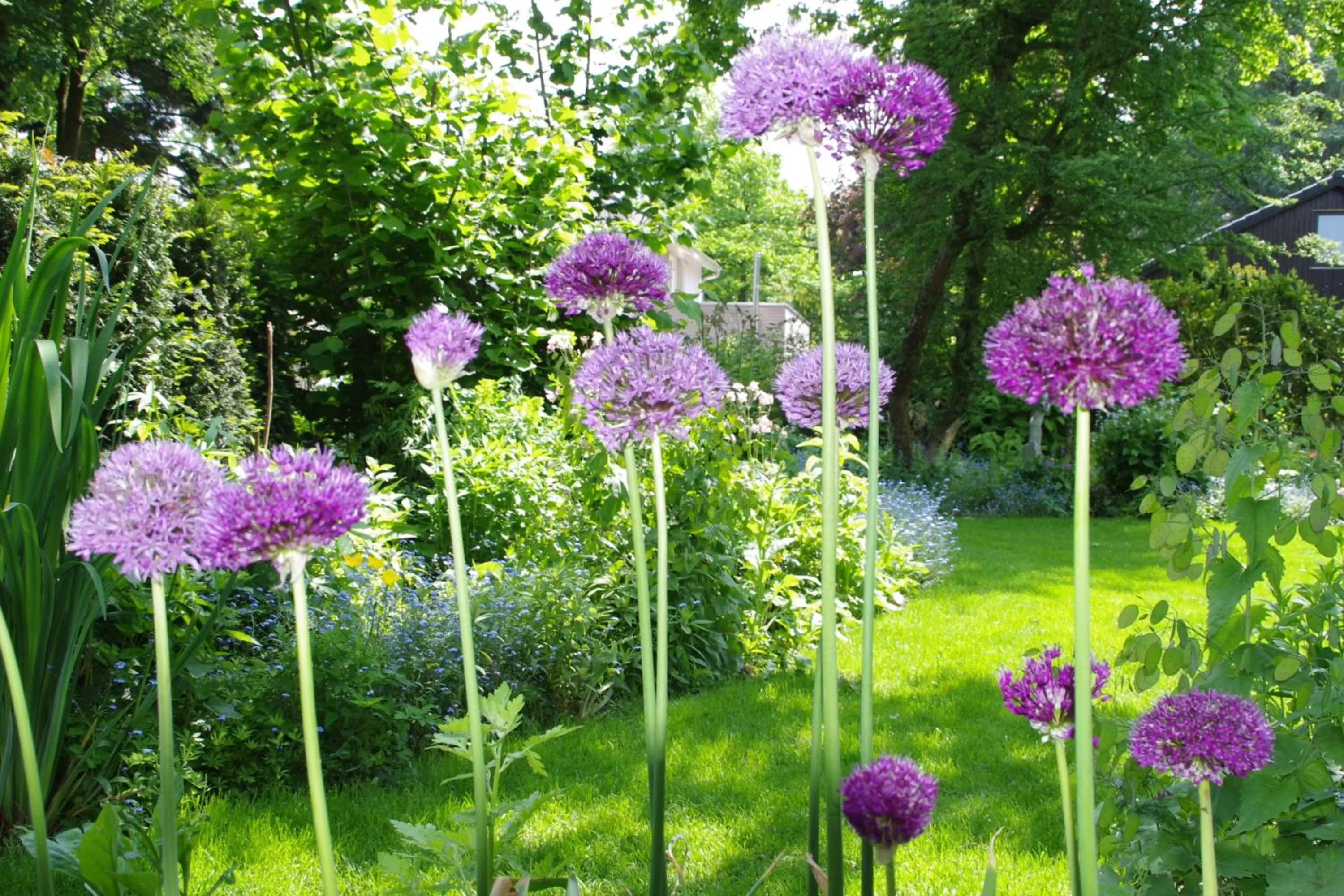 Summer in B&B De Slaperije