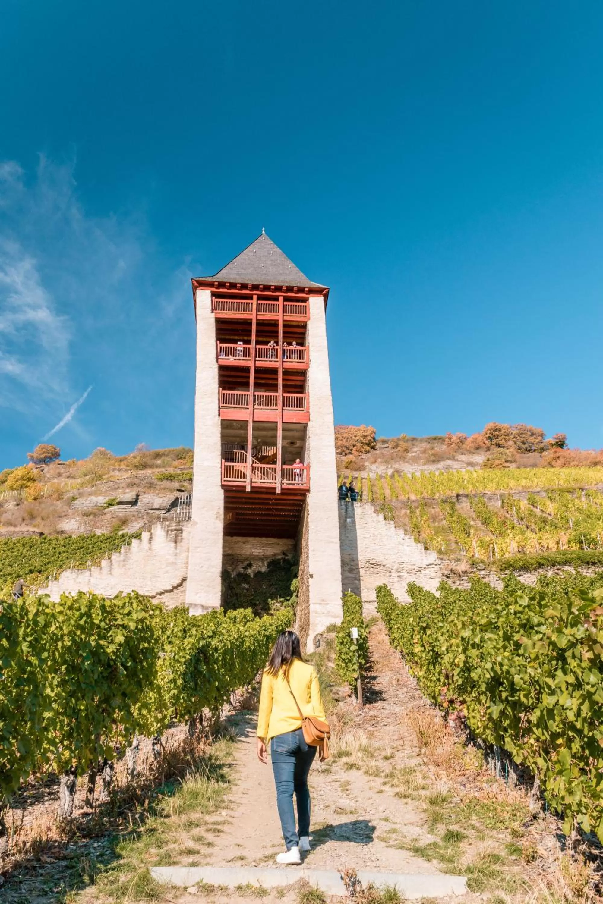 Nearby landmark in Das Ebertor - Hotel & Hostel