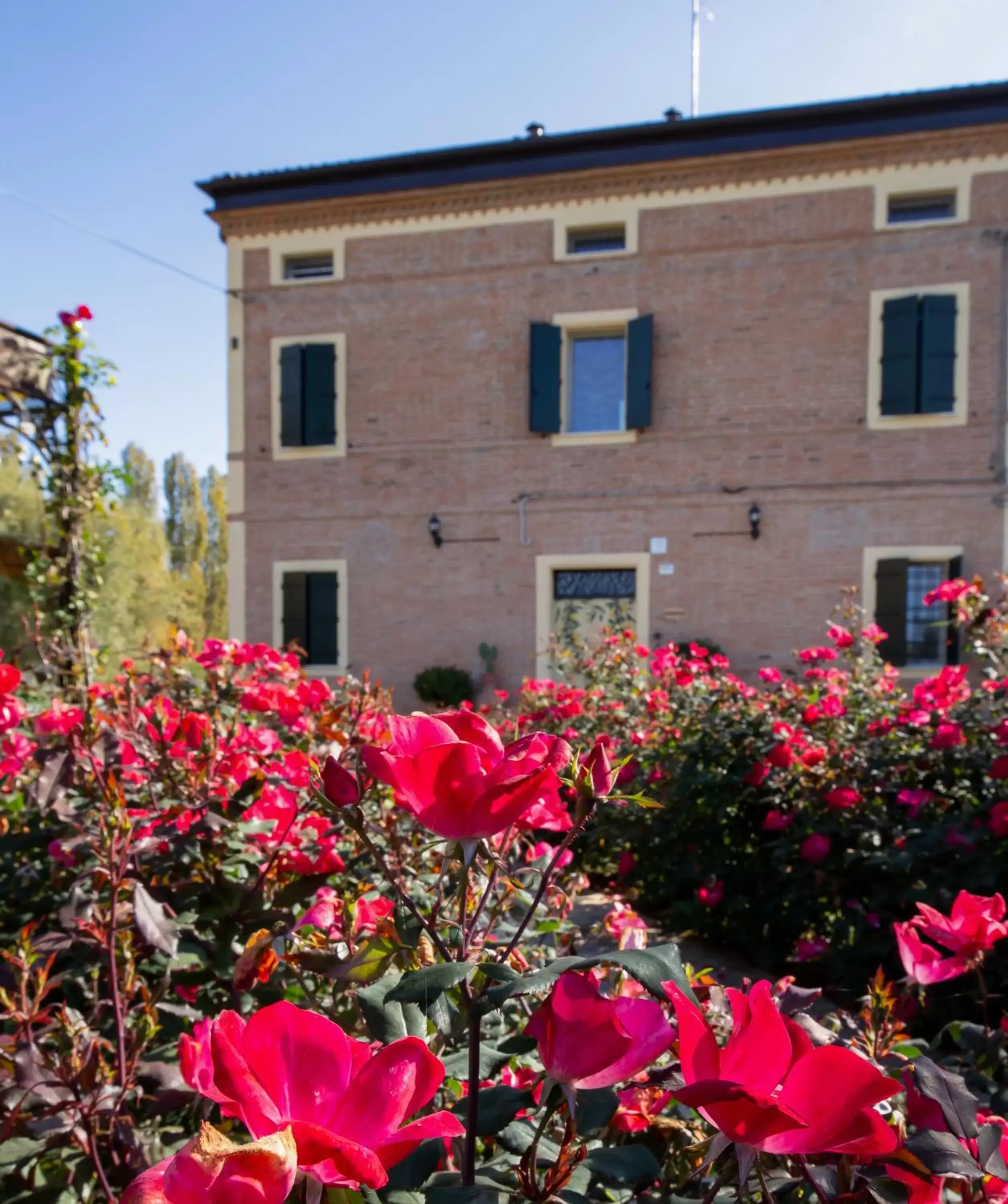 Property Building in La Casa di Valeria - Modena