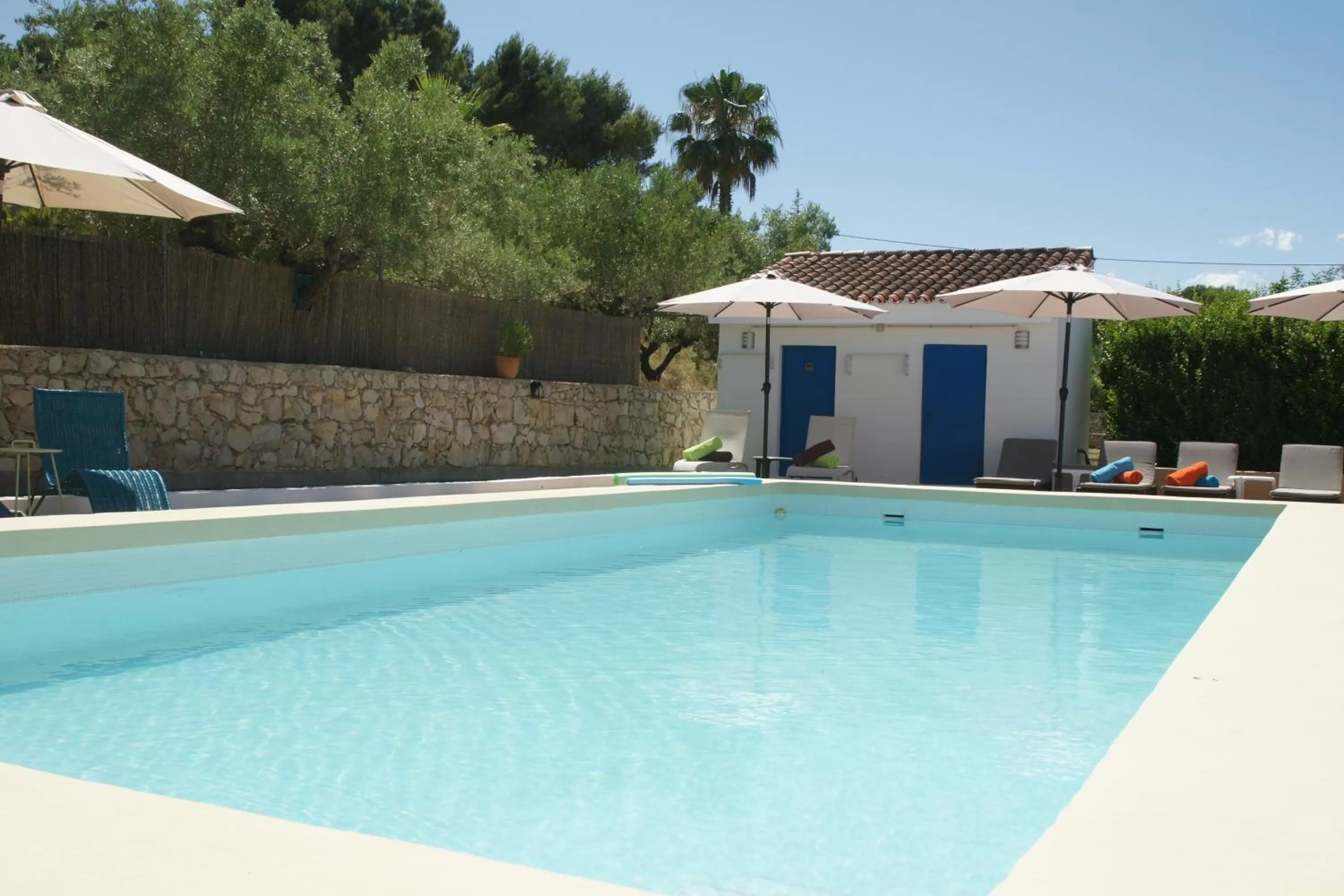 Swimming pool in Finca La Higuera - Boutique B&B