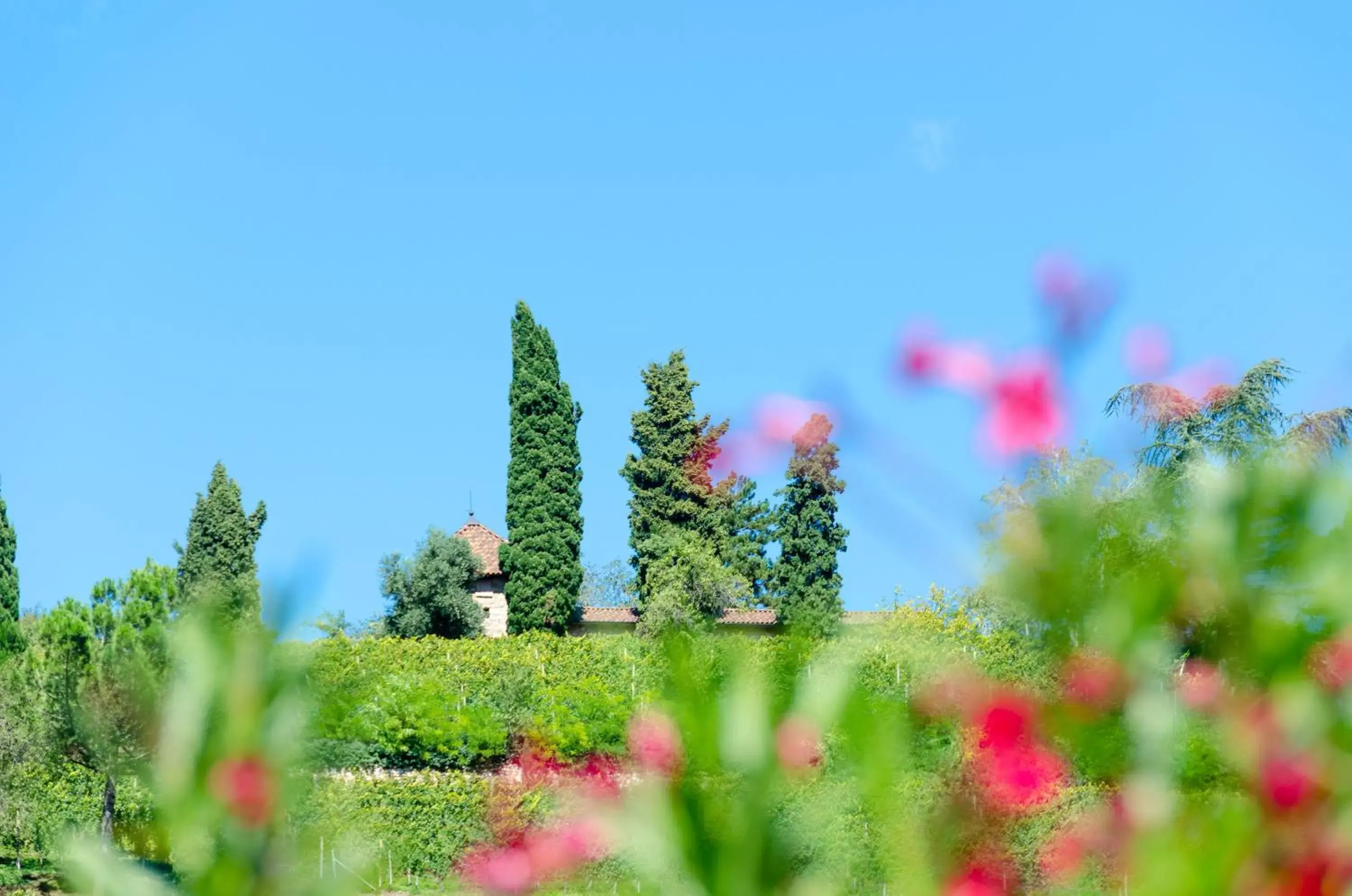 Mountain view, Natural Landscape in Residence Garni Hotel Vineus