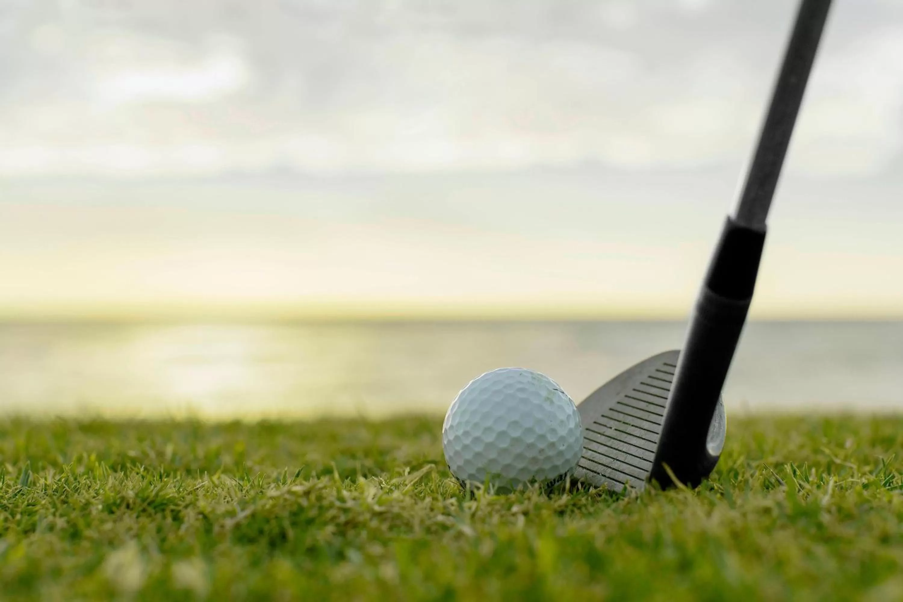 Other in Sheraton Soma Bay Resort