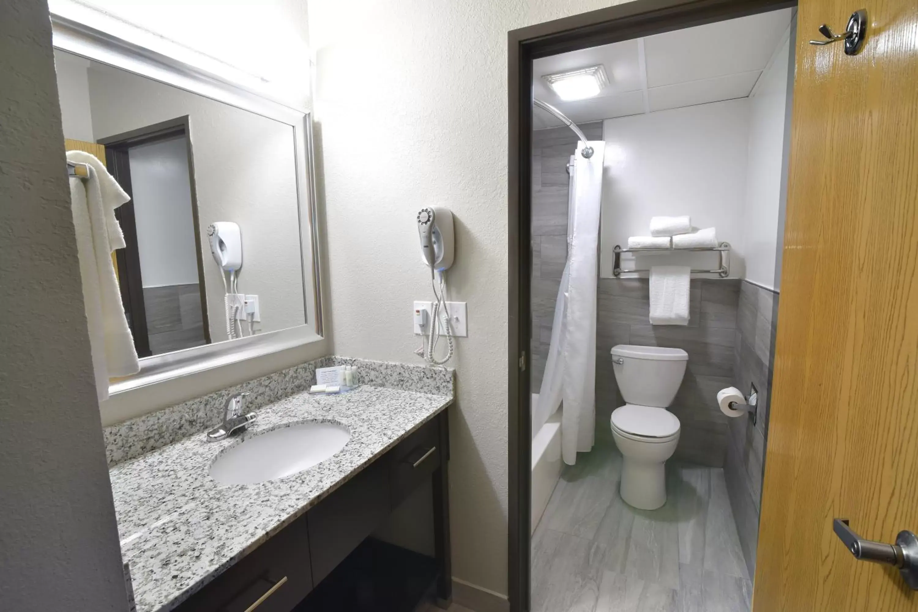 Bathroom in Best Western Plus Flint Airport Inn & Suites