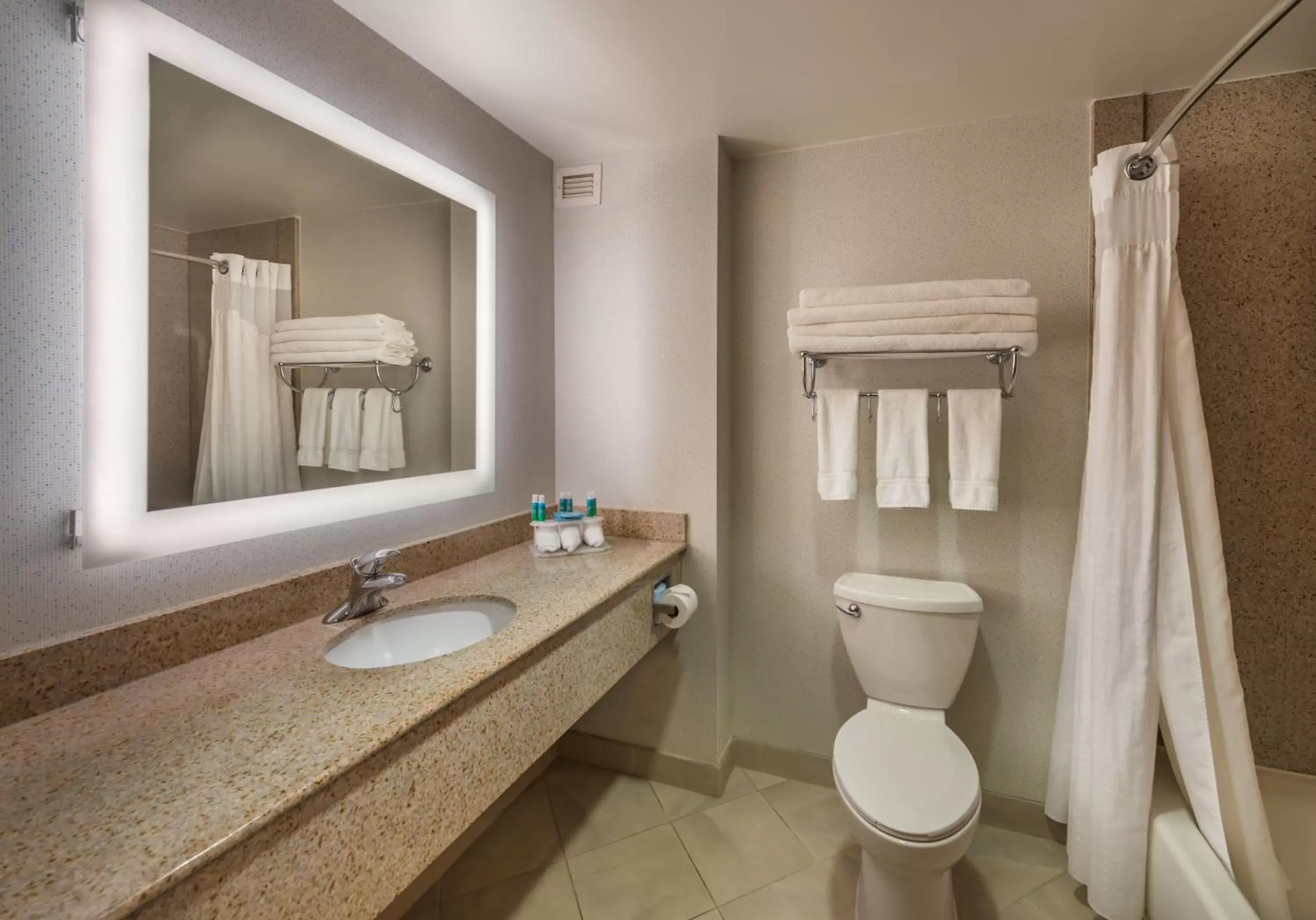 Bathroom in Holiday Inn Express Hotel & Suites Carson City, an IHG Hotel