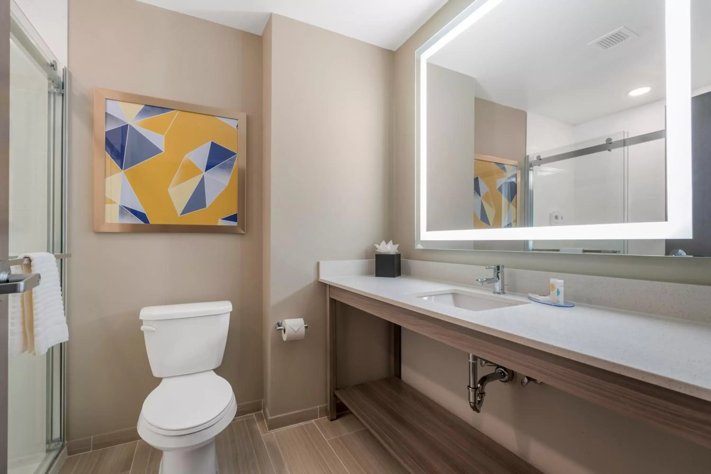 Toilet, Bathroom in Comfort Suites Orlando Lake Buena Vista