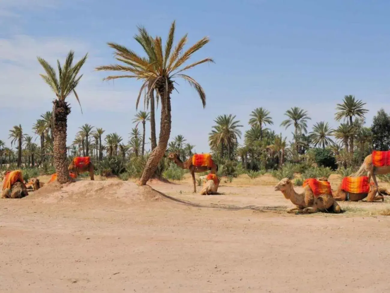 Natural landscape in Riad Villa Weng & Spa