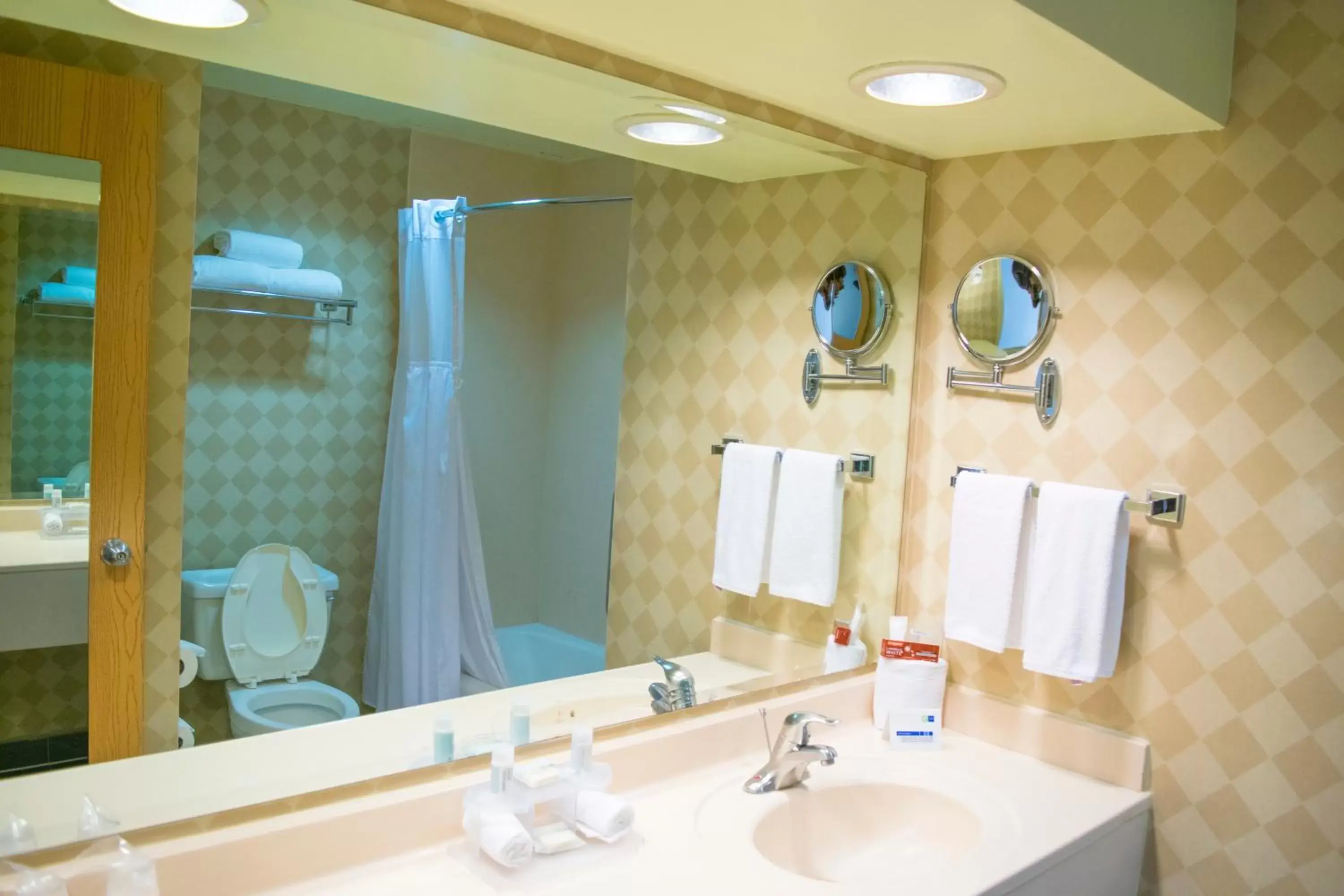 Bathroom in Holiday Inn Express Guanajuato, an IHG Hotel