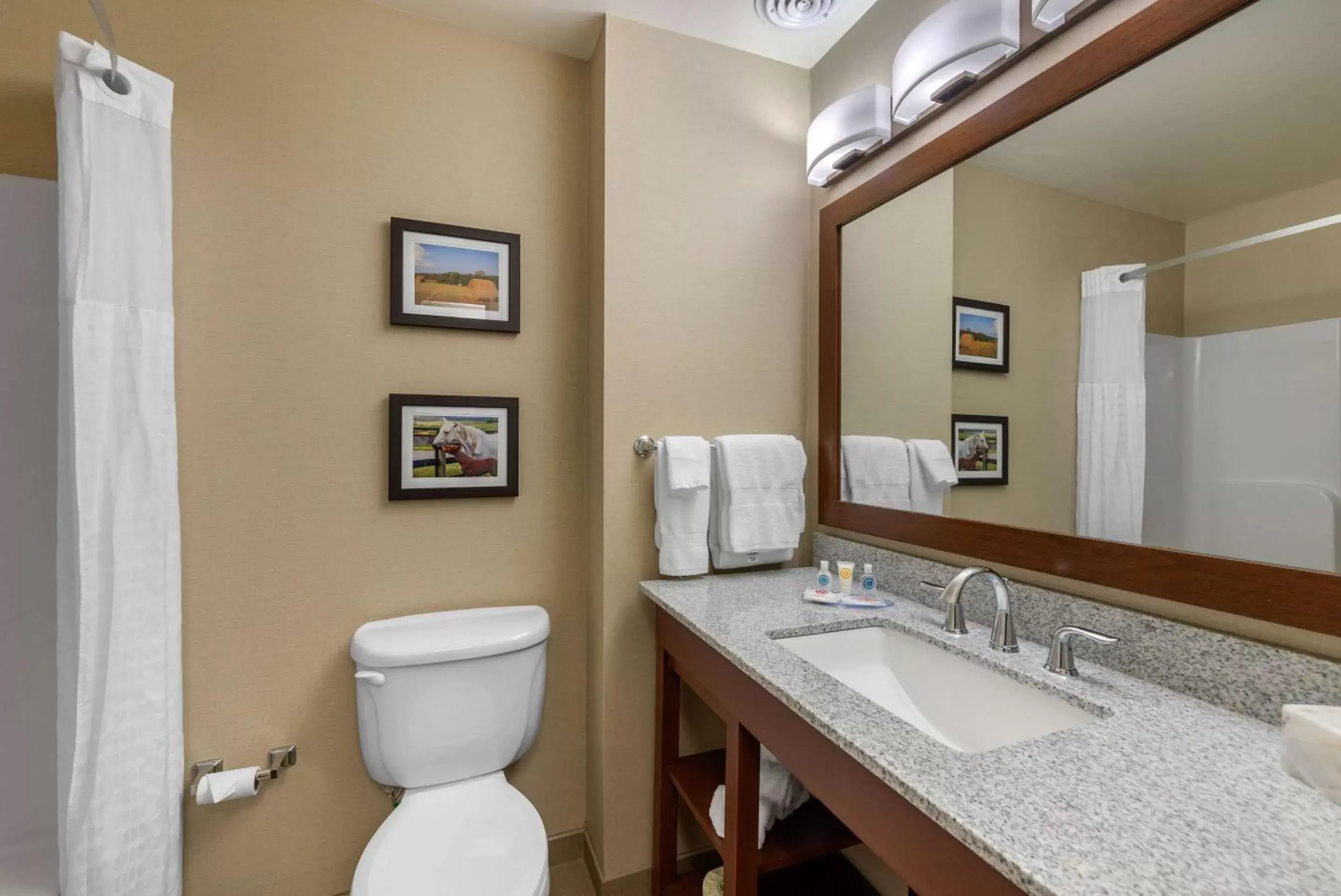 Photo of the whole room, Bathroom in Comfort Inn & Suites Northern Kentucky