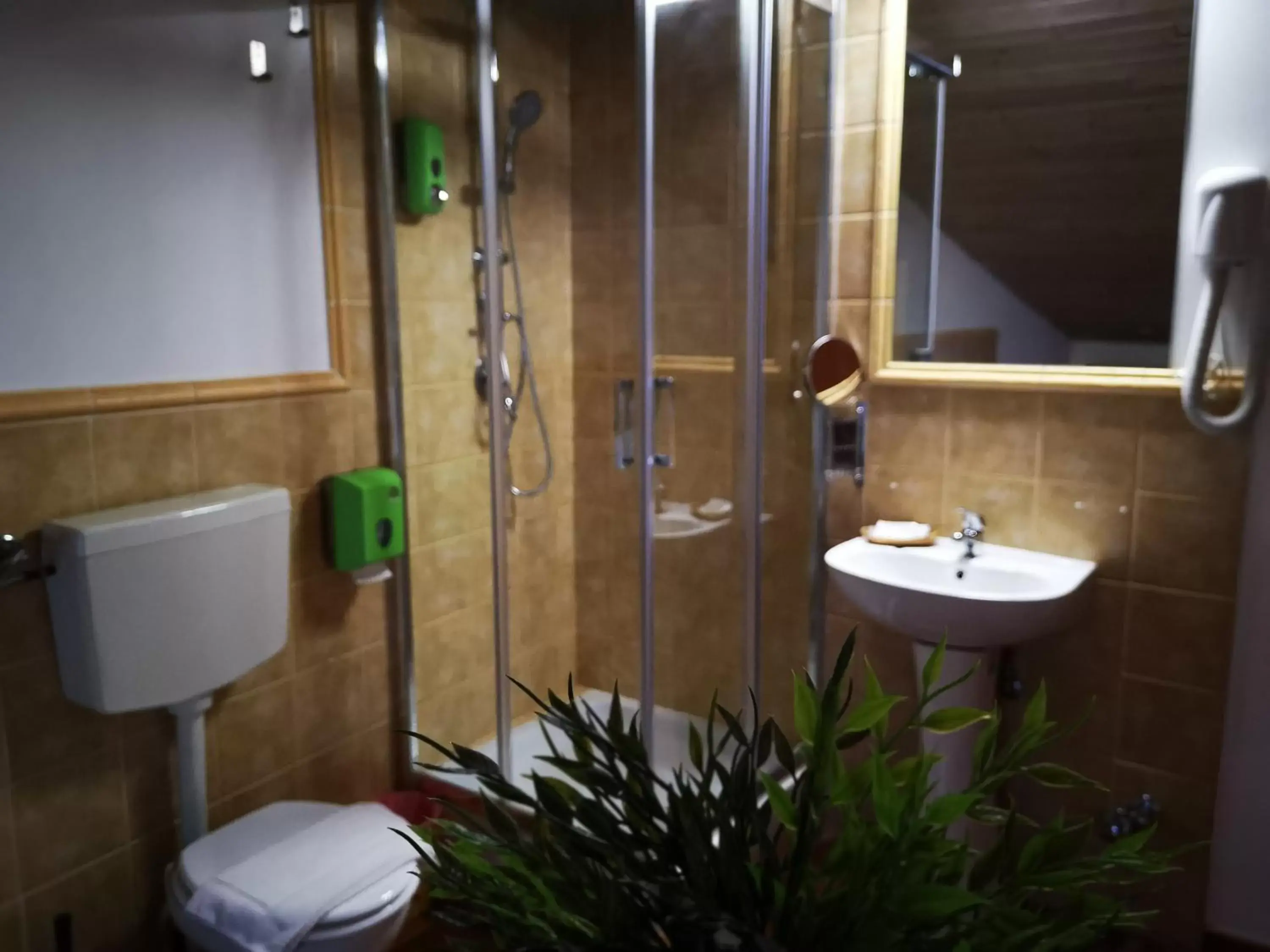 Shower, Bathroom in Proserpina