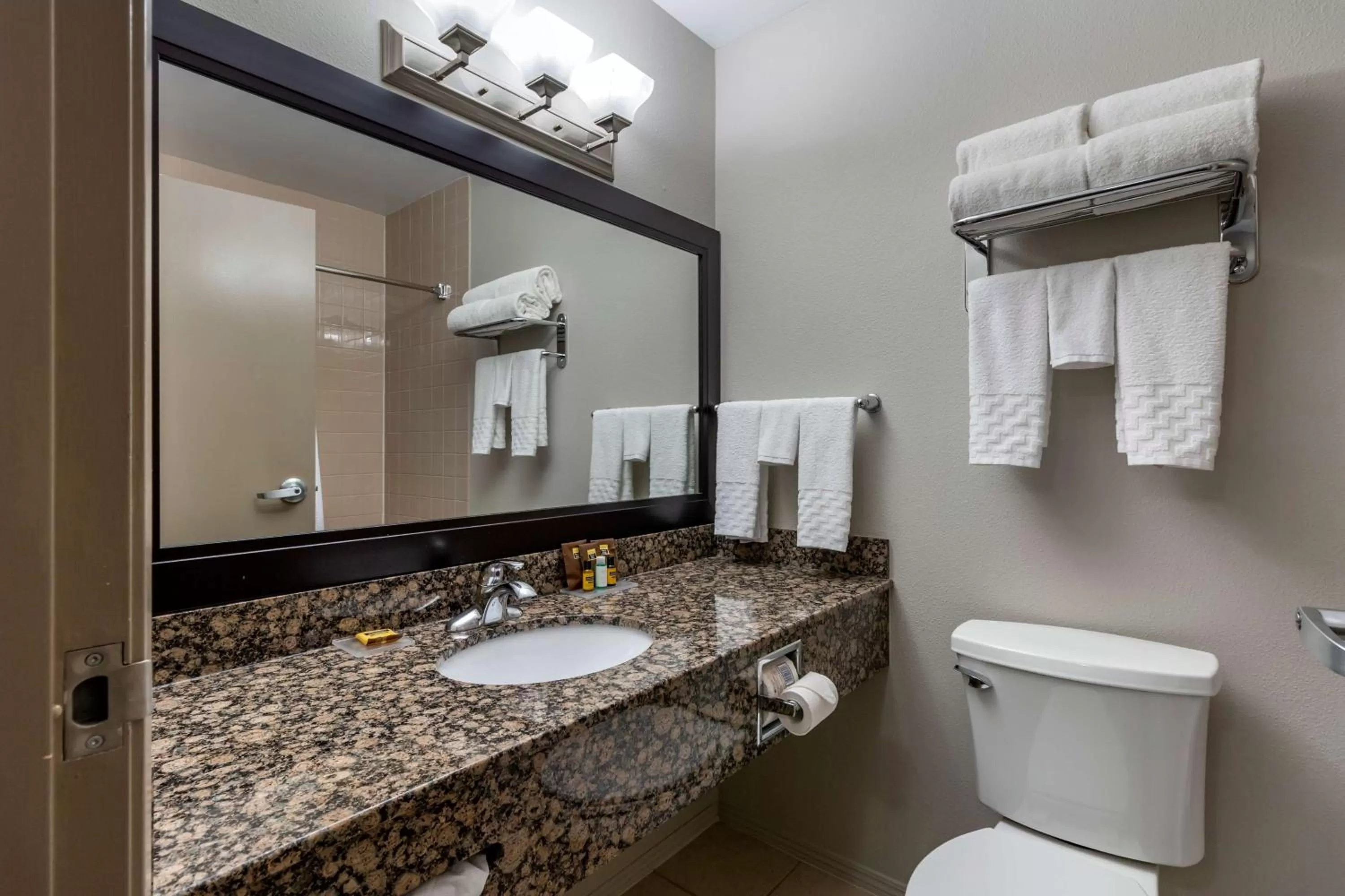 Shower in Best Western Plus Pembina Inn & Suites
