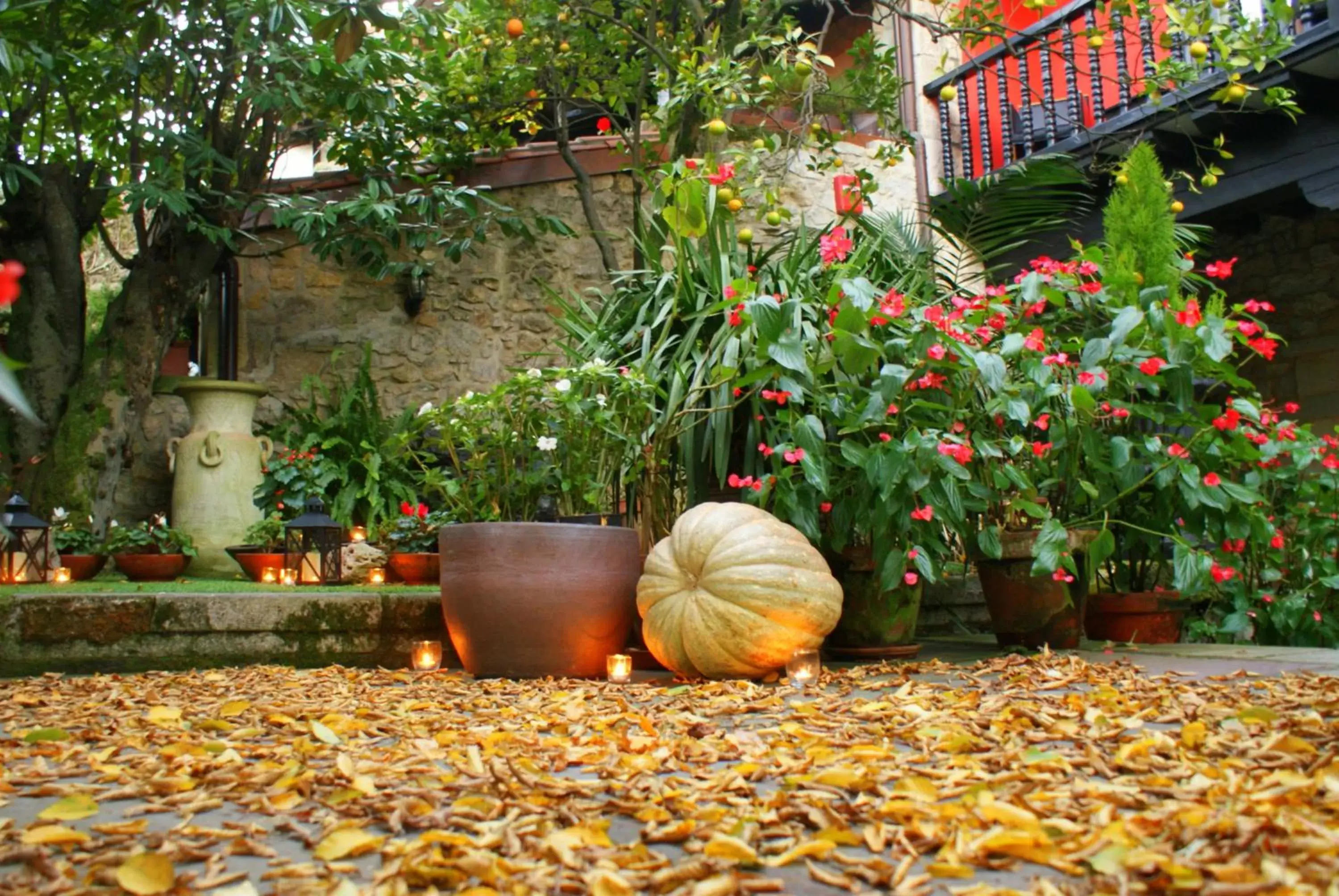 Patio in Hotel Casa del Marqués