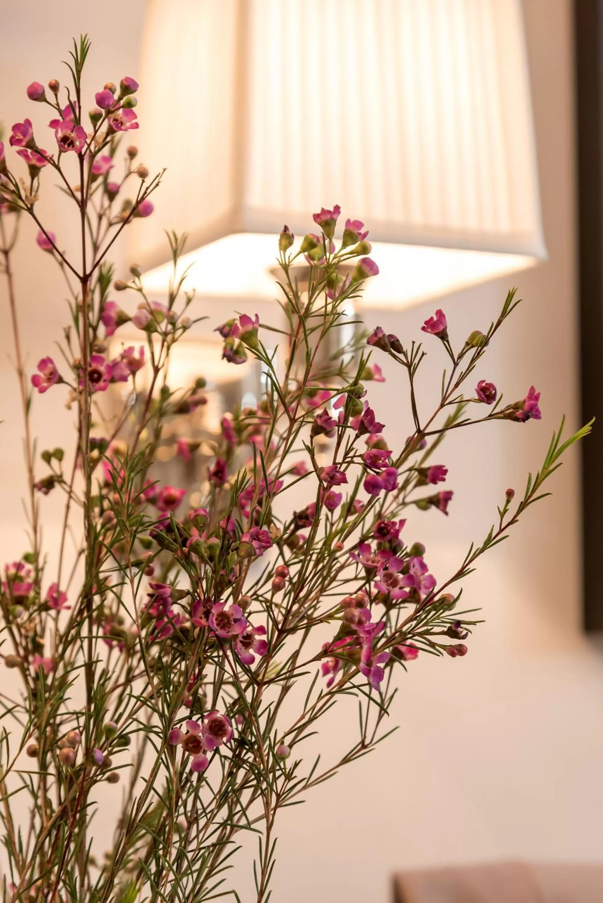 Decorative detail in Heritage Hotel 19