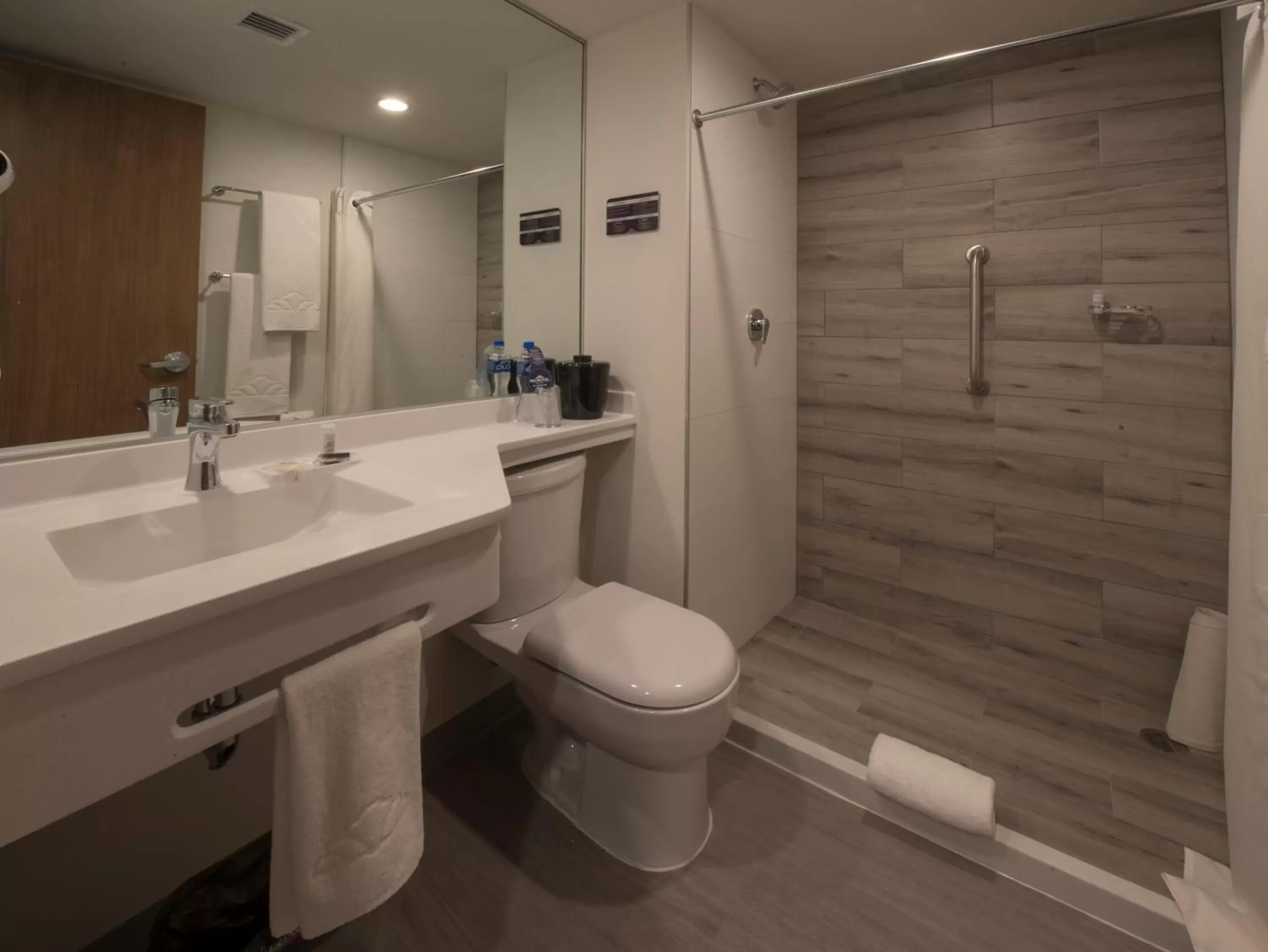 Toilet, Bathroom in Microtel Inn & Suites by Wyndham Guadalajara Sur