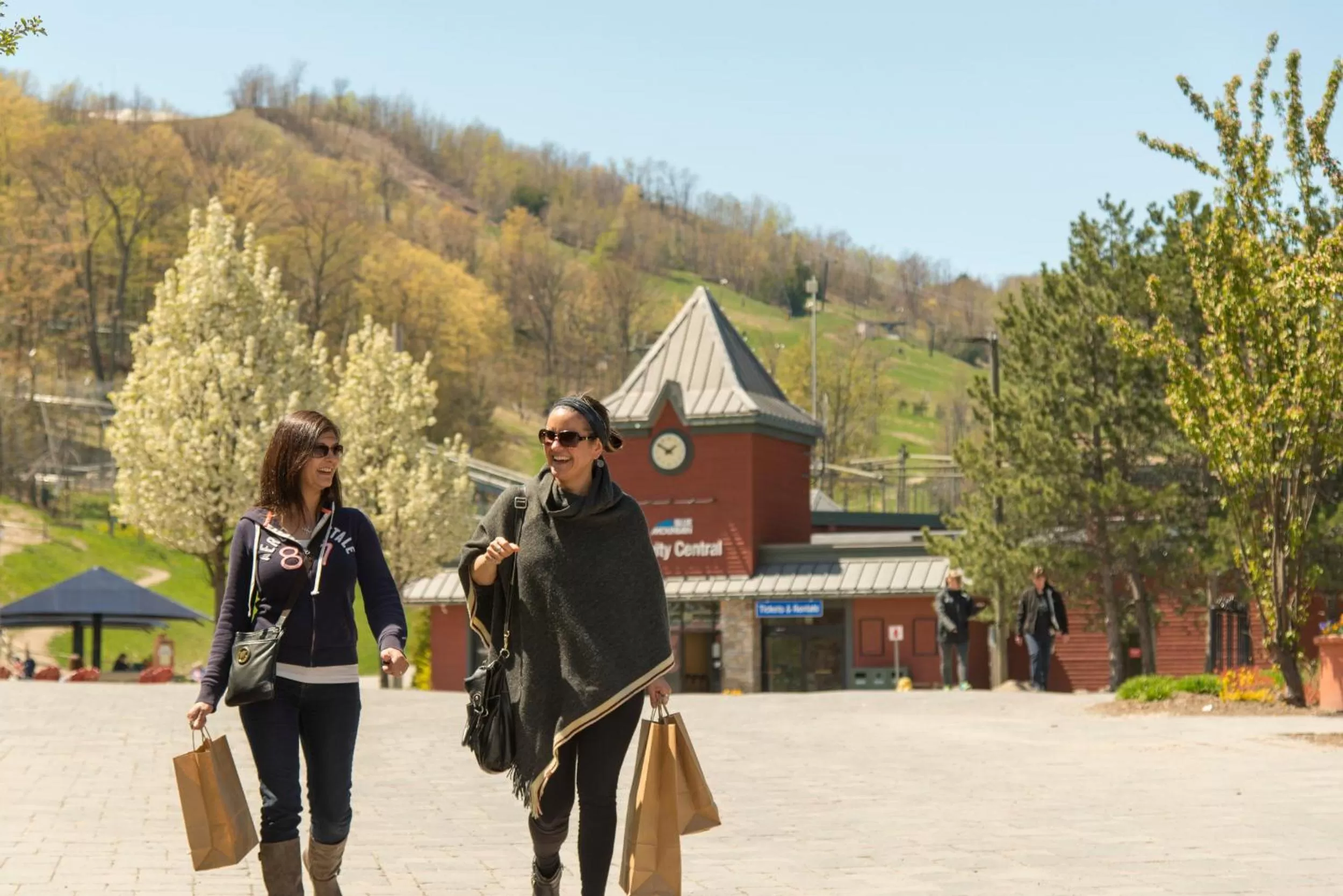 Spring in Blue Mountain Resort Home Collection