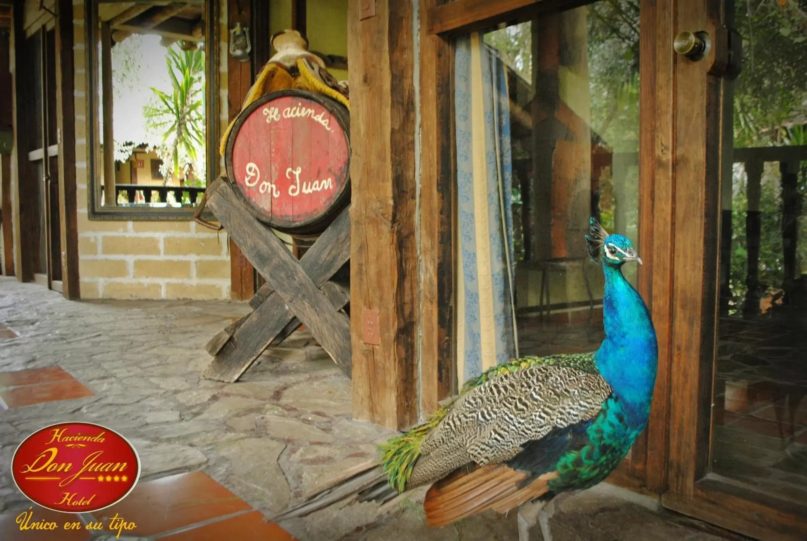 On site, Other Animals in Hotel Hacienda Don Juan San Cristobal de las Casas Chiapas